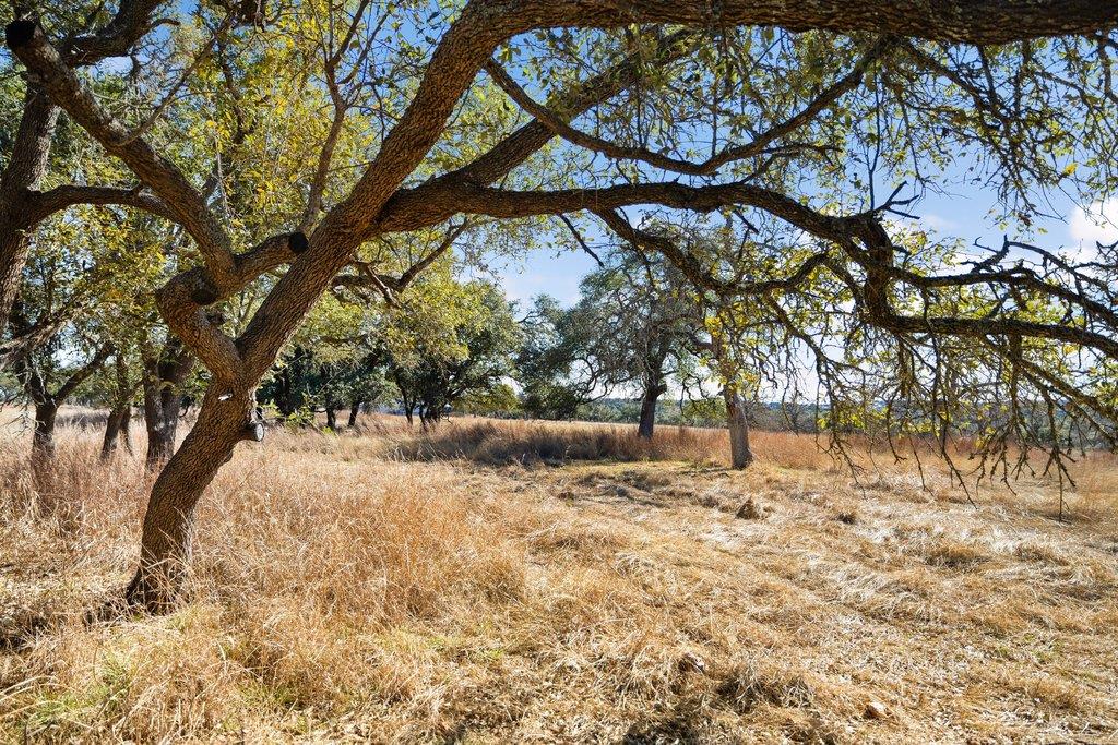 990 Axis Cir, Fredericksburg, TX 78624