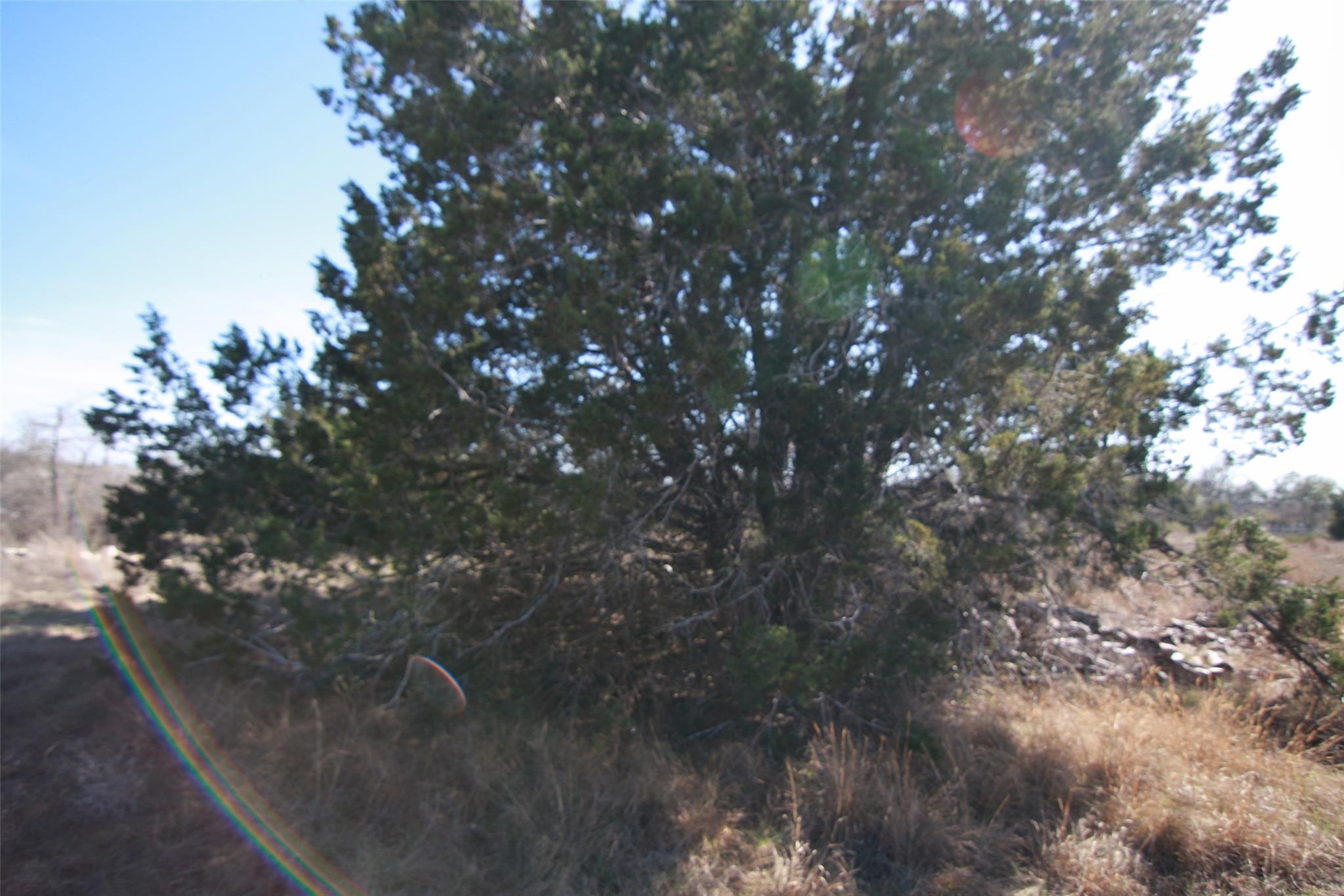 105 Daisy Ln, Dripping Springs, TX 78620