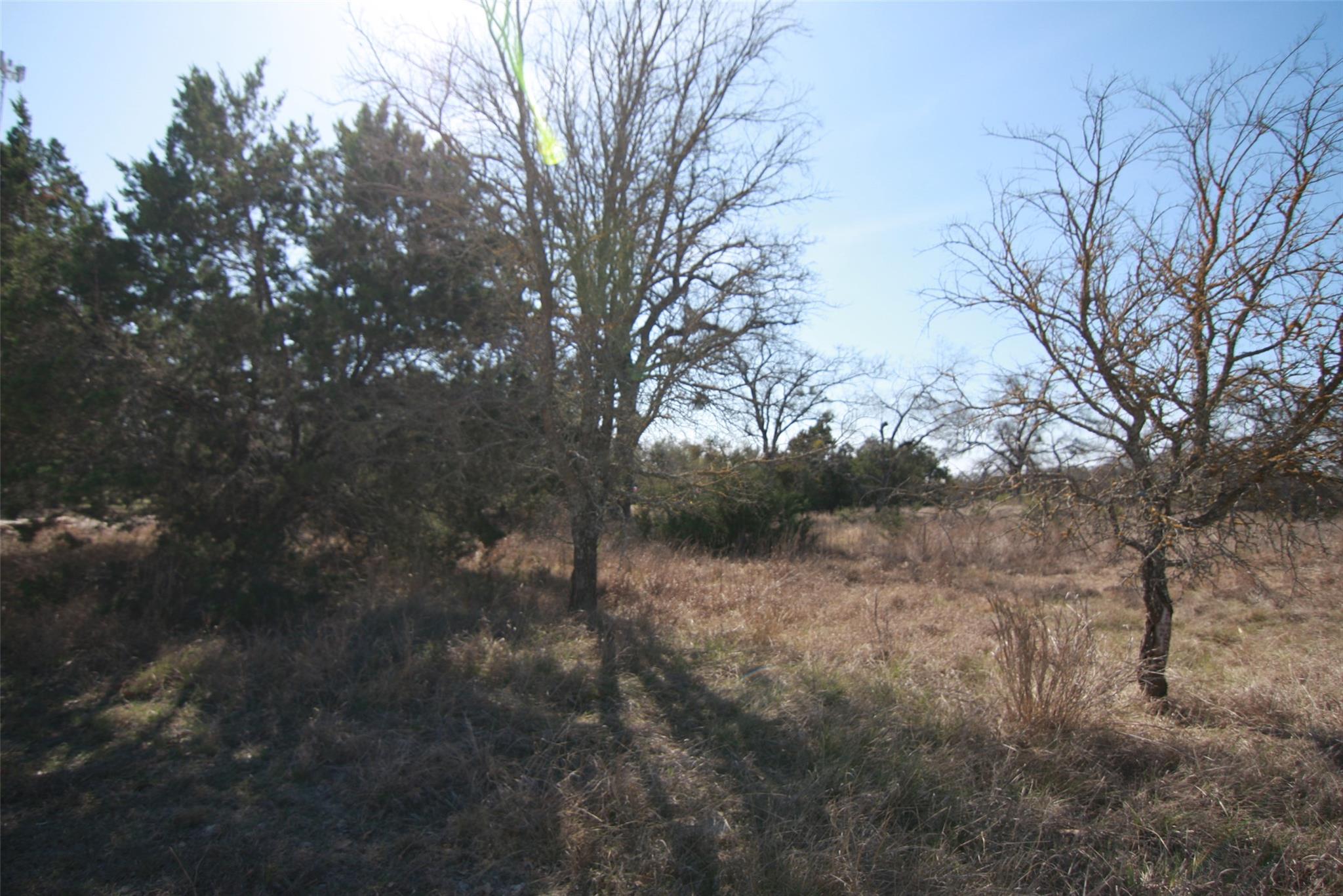 105 Daisy Ln, Dripping Springs, TX 78620