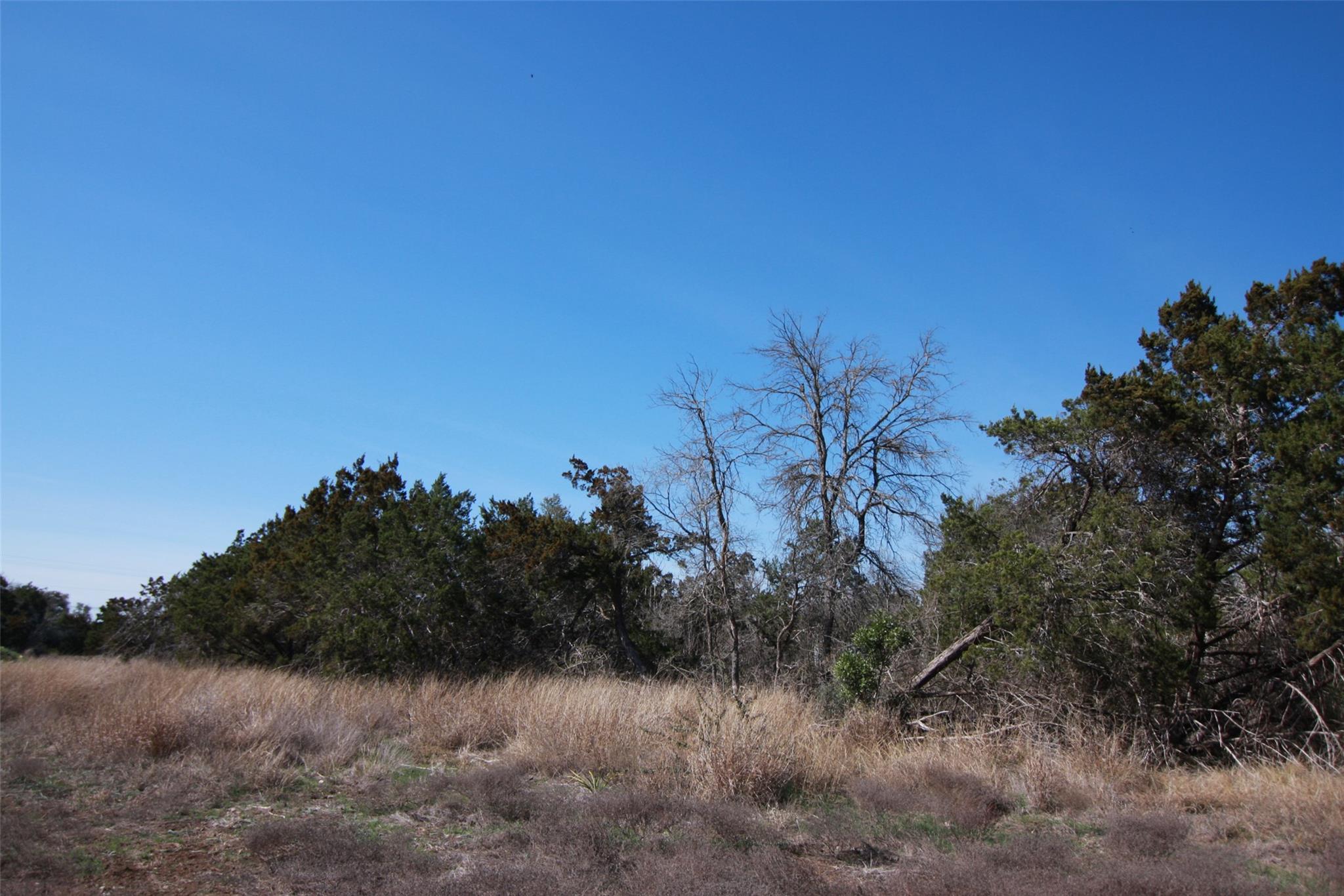 105 Daisy Ln, Dripping Springs, TX 78620