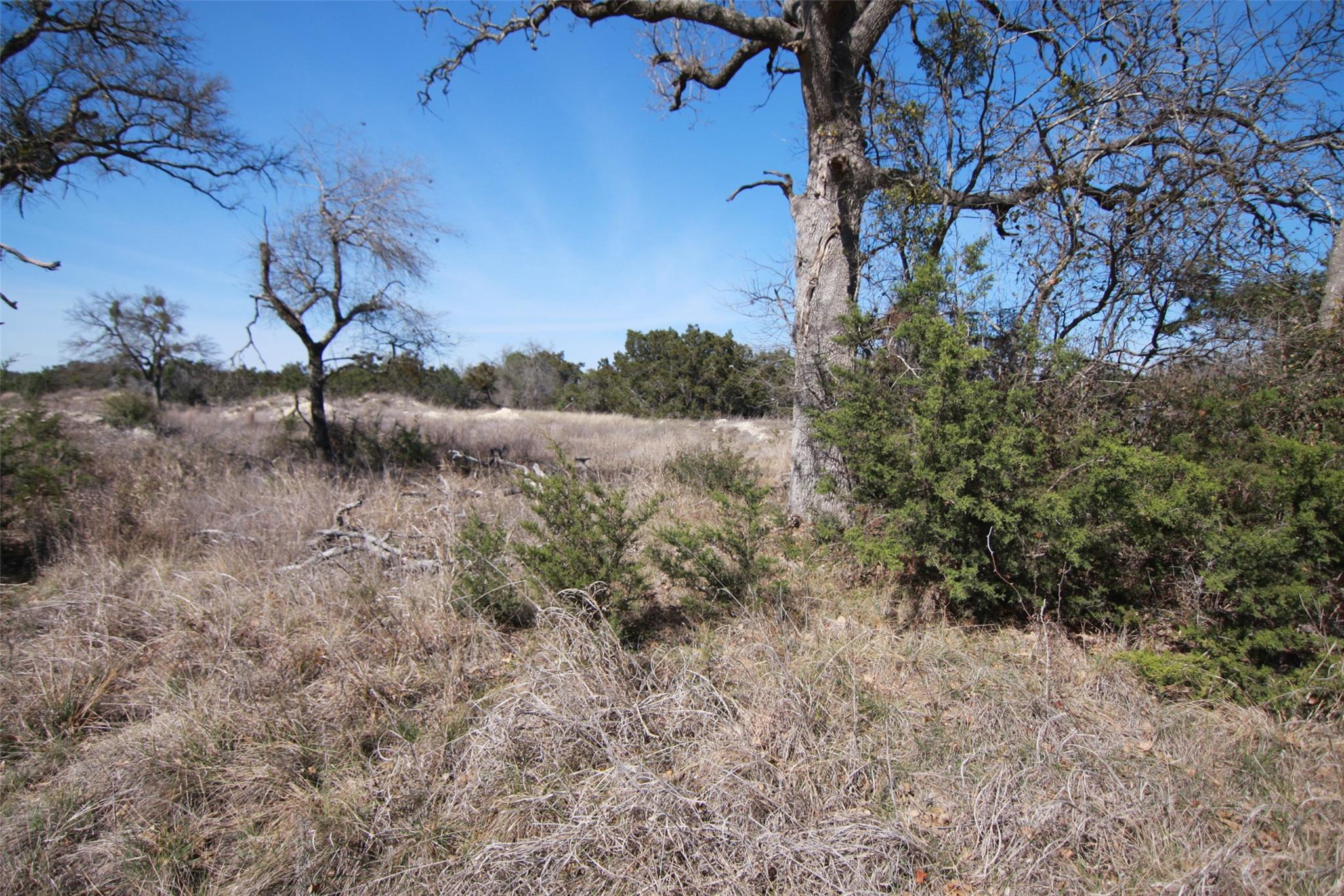 105 Daisy Ln, Dripping Springs, TX 78620