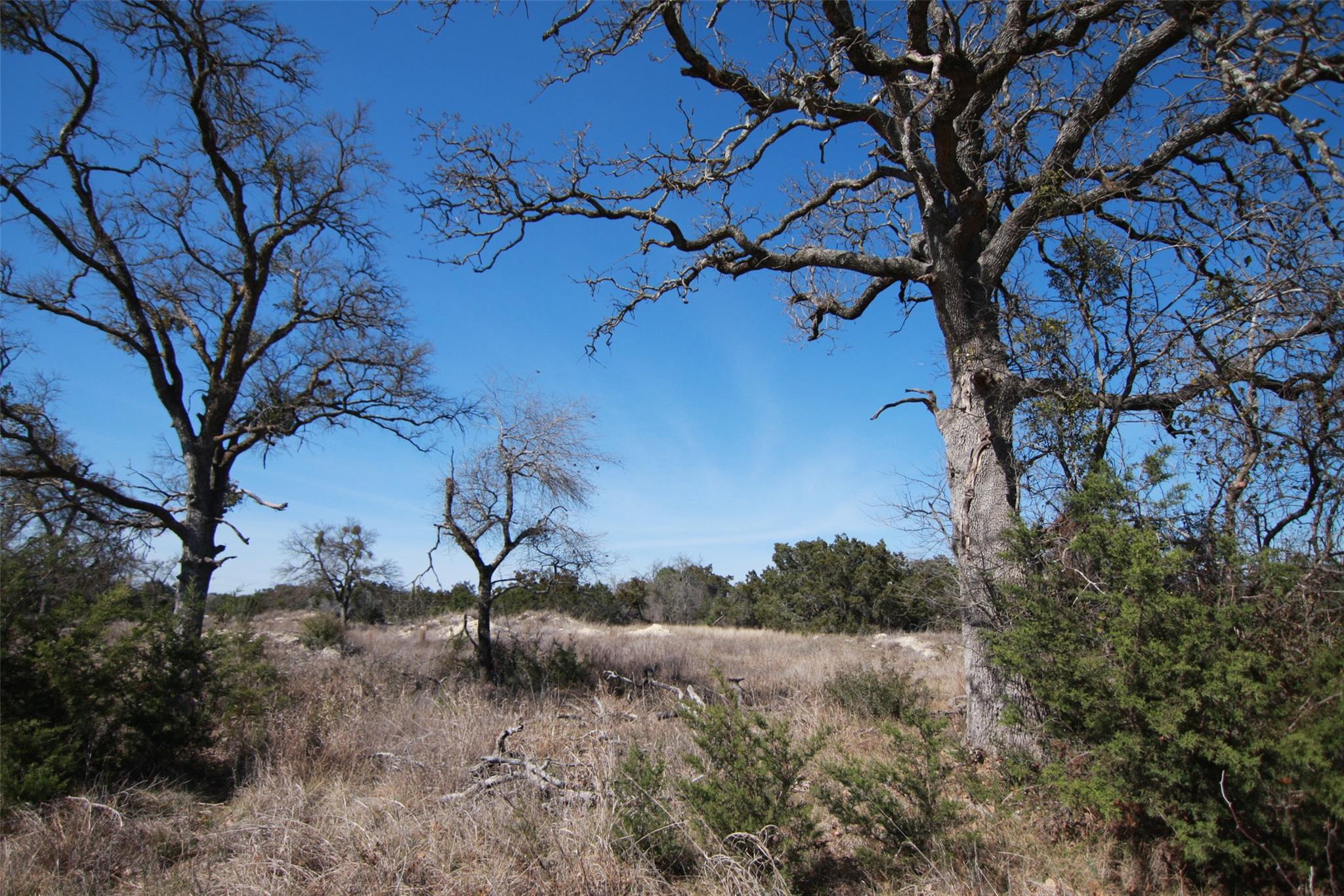 105 Daisy Ln, Dripping Springs, TX 78620