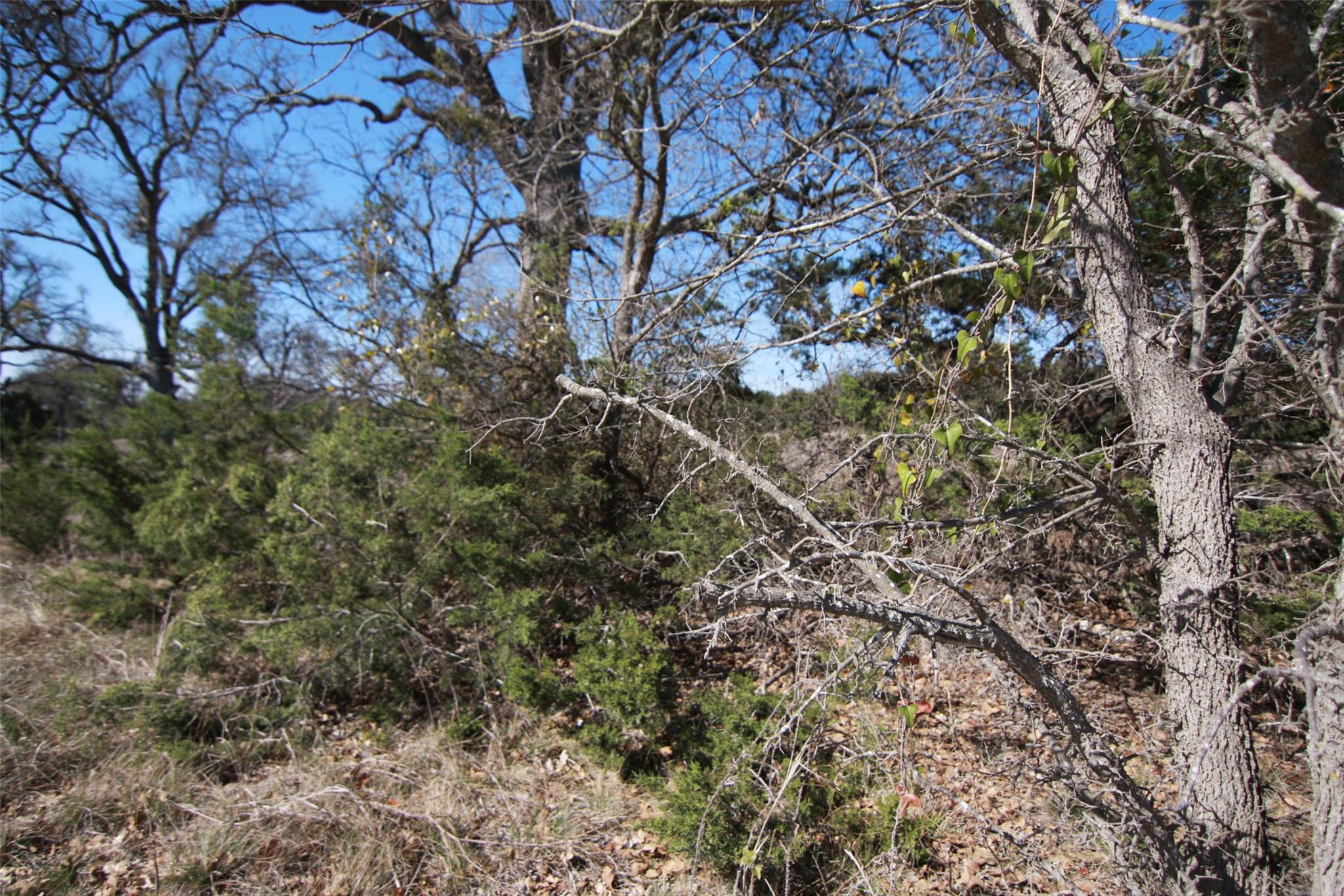 105 Daisy Ln, Dripping Springs, TX 78620