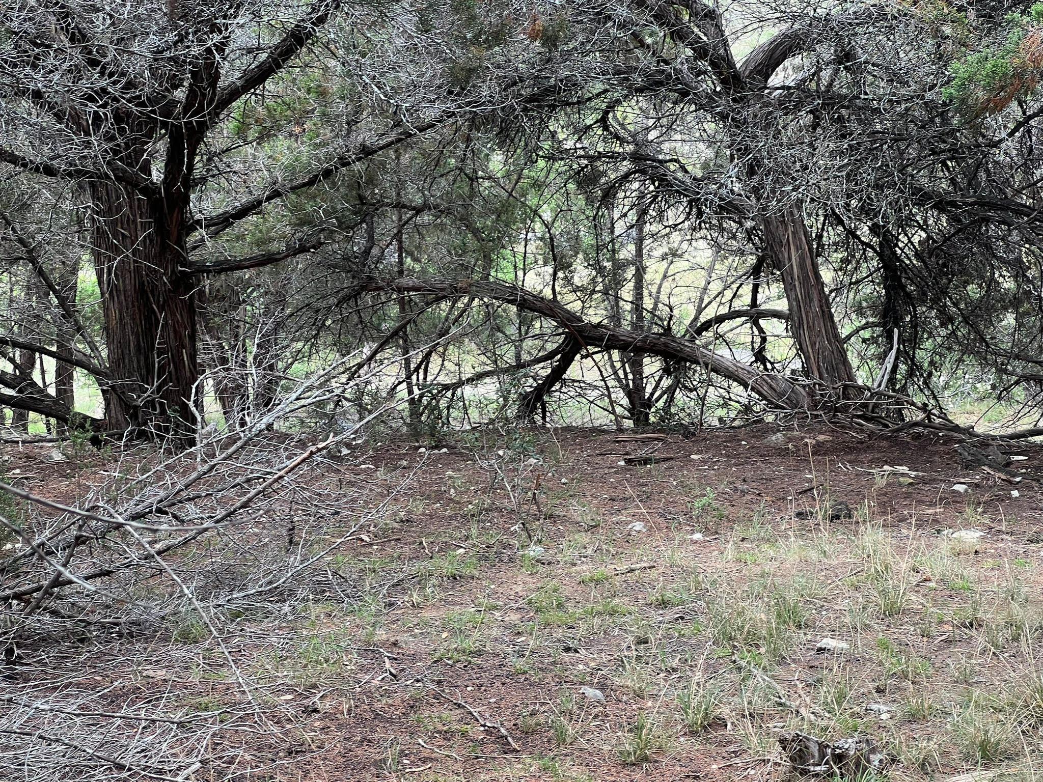 19906 CONSTITUTION Cv, Lago Vista, TX 78645