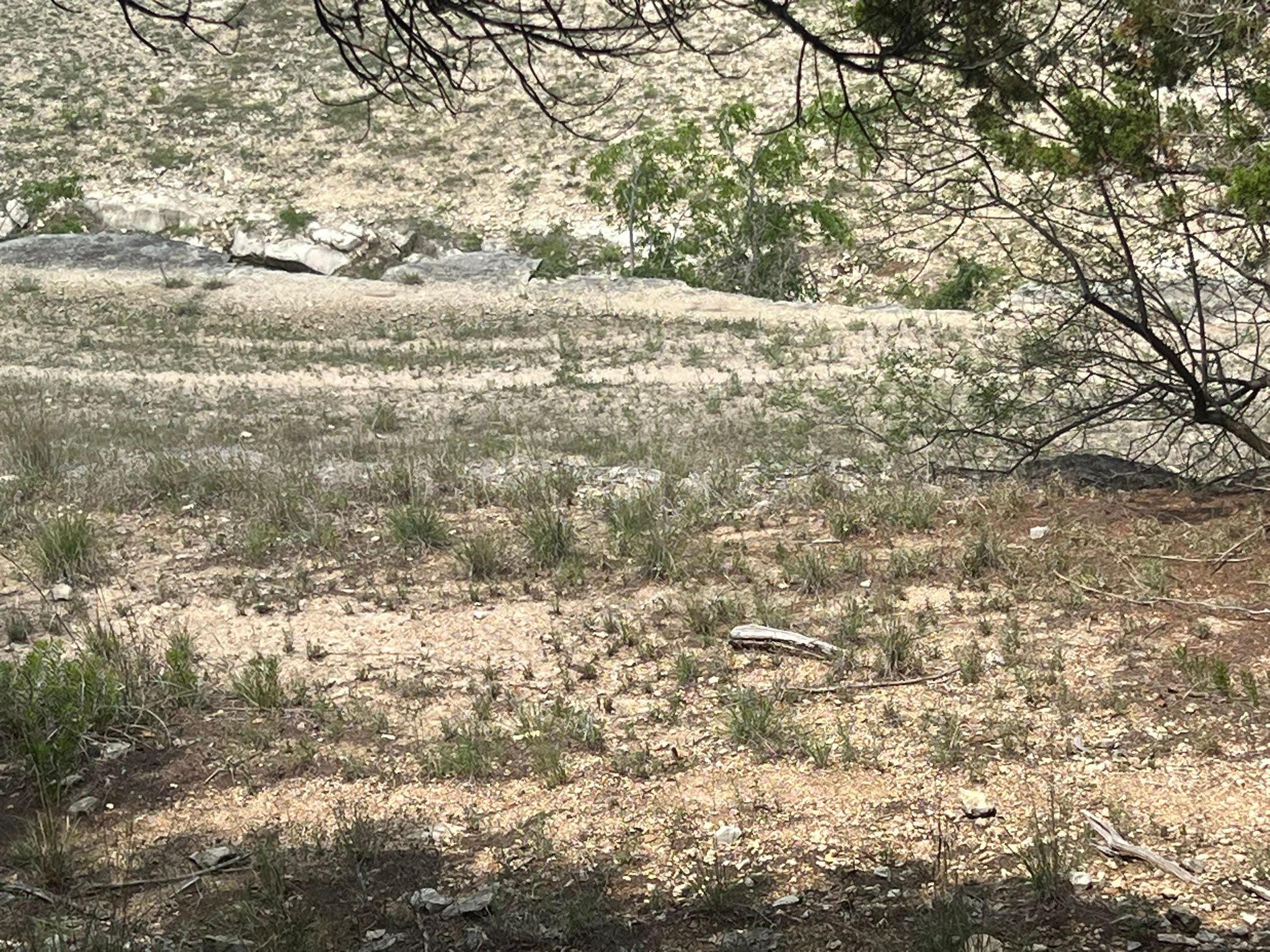 19906 CONSTITUTION Cv, Lago Vista, TX 78645