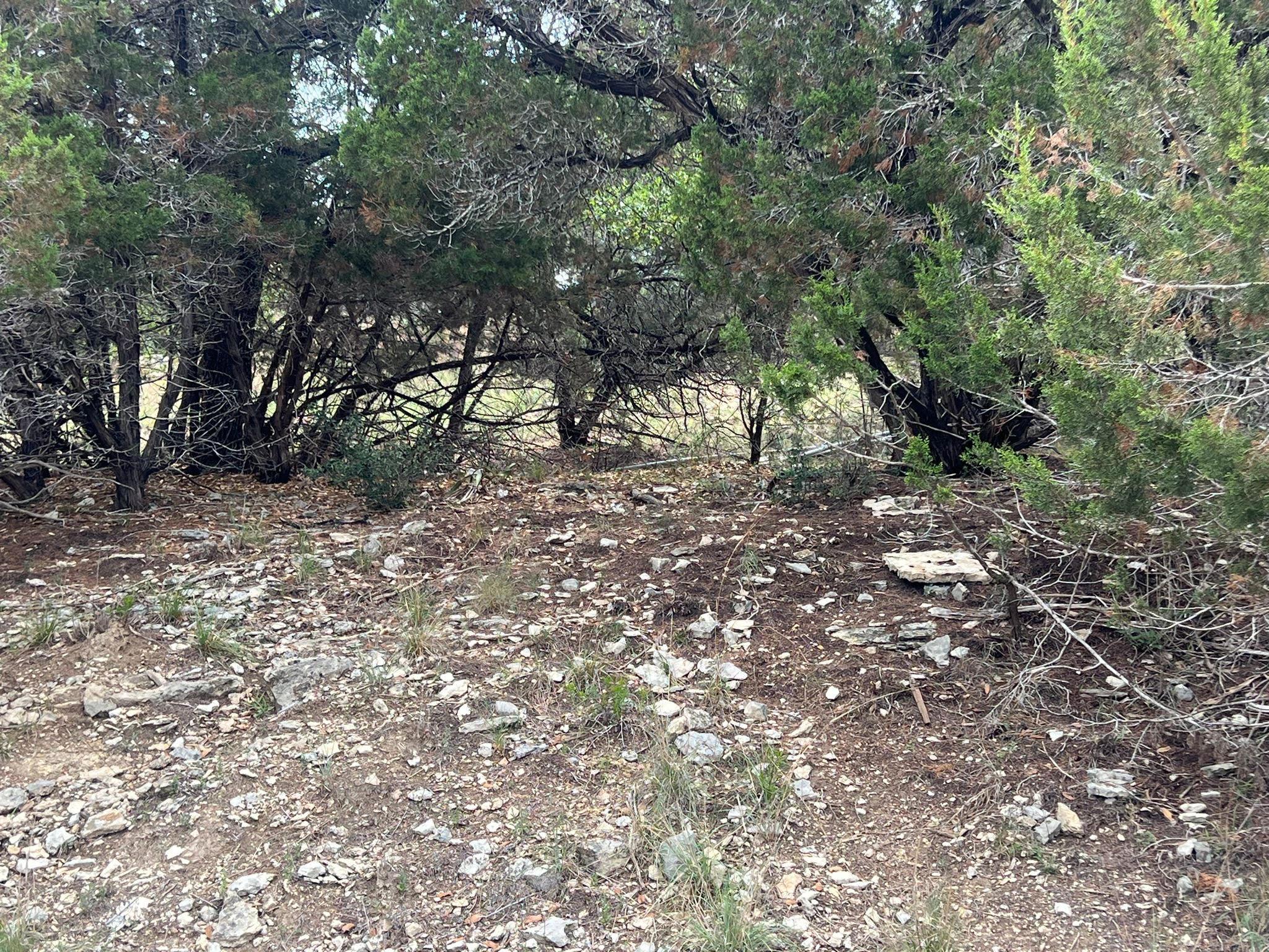 19906 CONSTITUTION Cv, Lago Vista, TX 78645