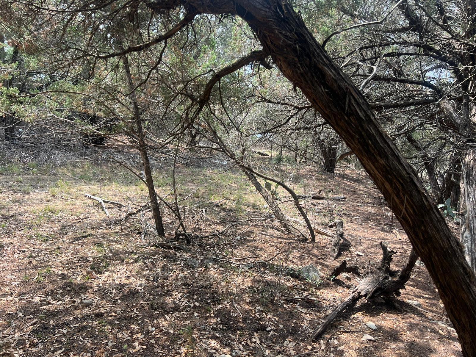 19906 CONSTITUTION Cv, Lago Vista, TX 78645