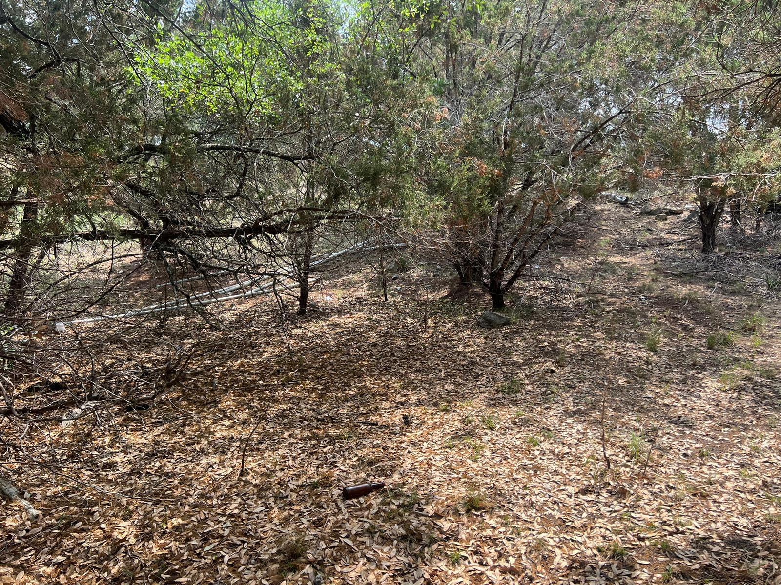 19906 CONSTITUTION Cv, Lago Vista, TX 78645