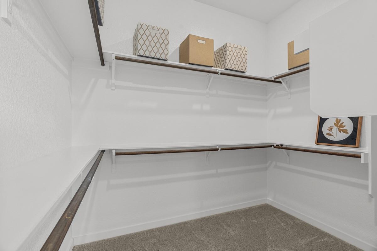 1125 Pansy Trl, Georgetown, TX 78628