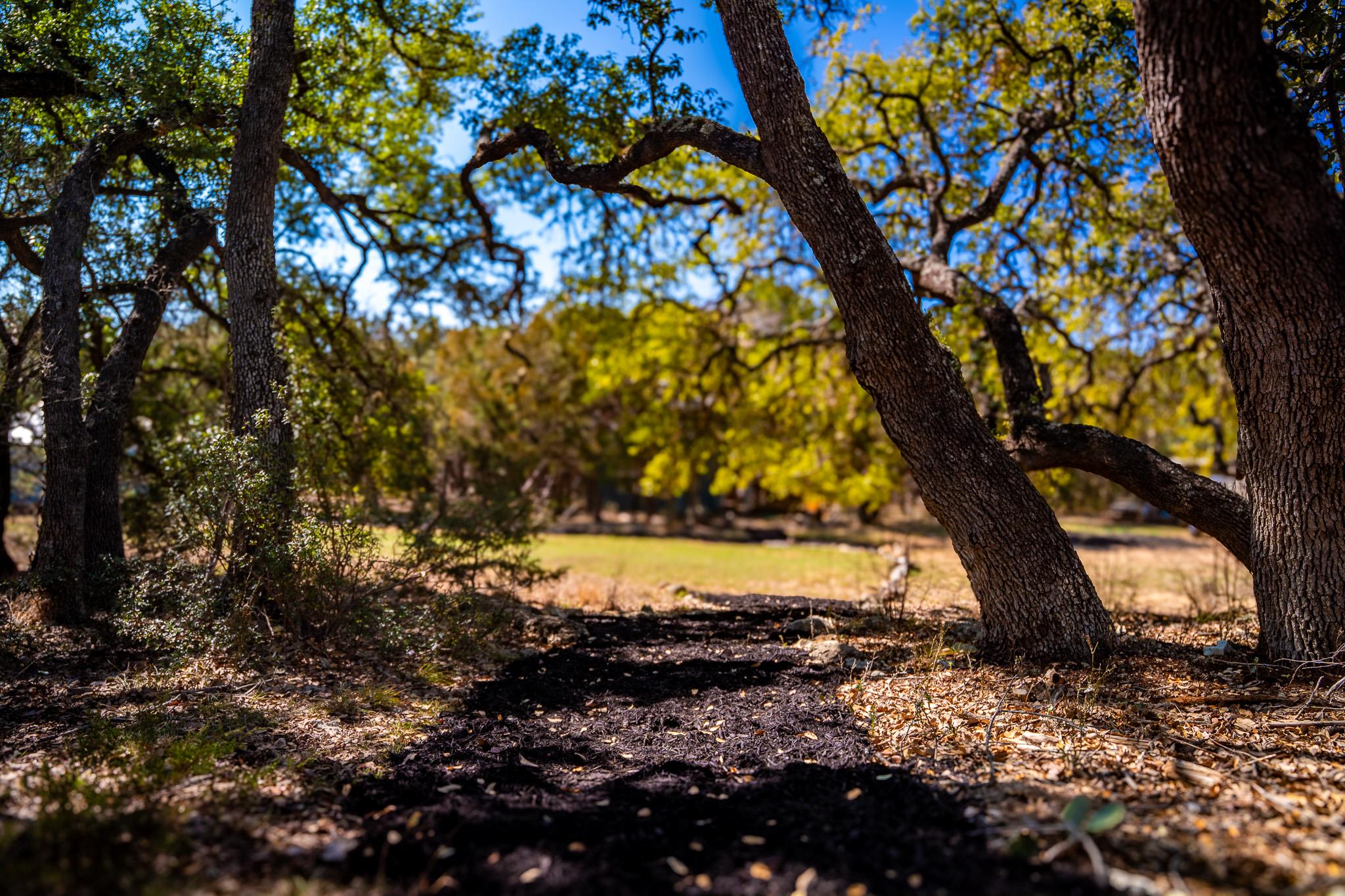 321 Lea Ln, Wimberley, TX 78676