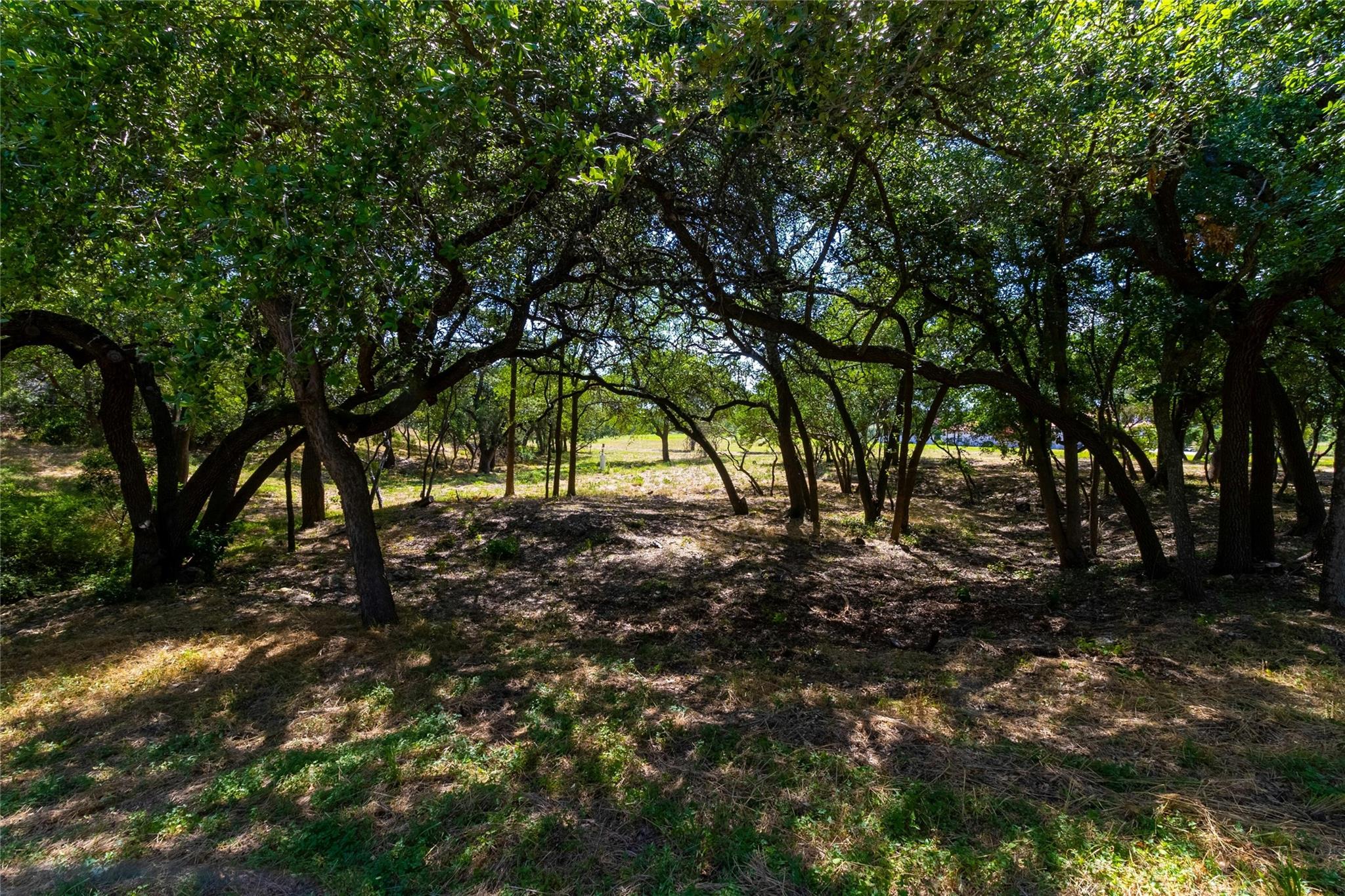 420 Blanco River Ranch Blvd, San Marcos, TX 78666