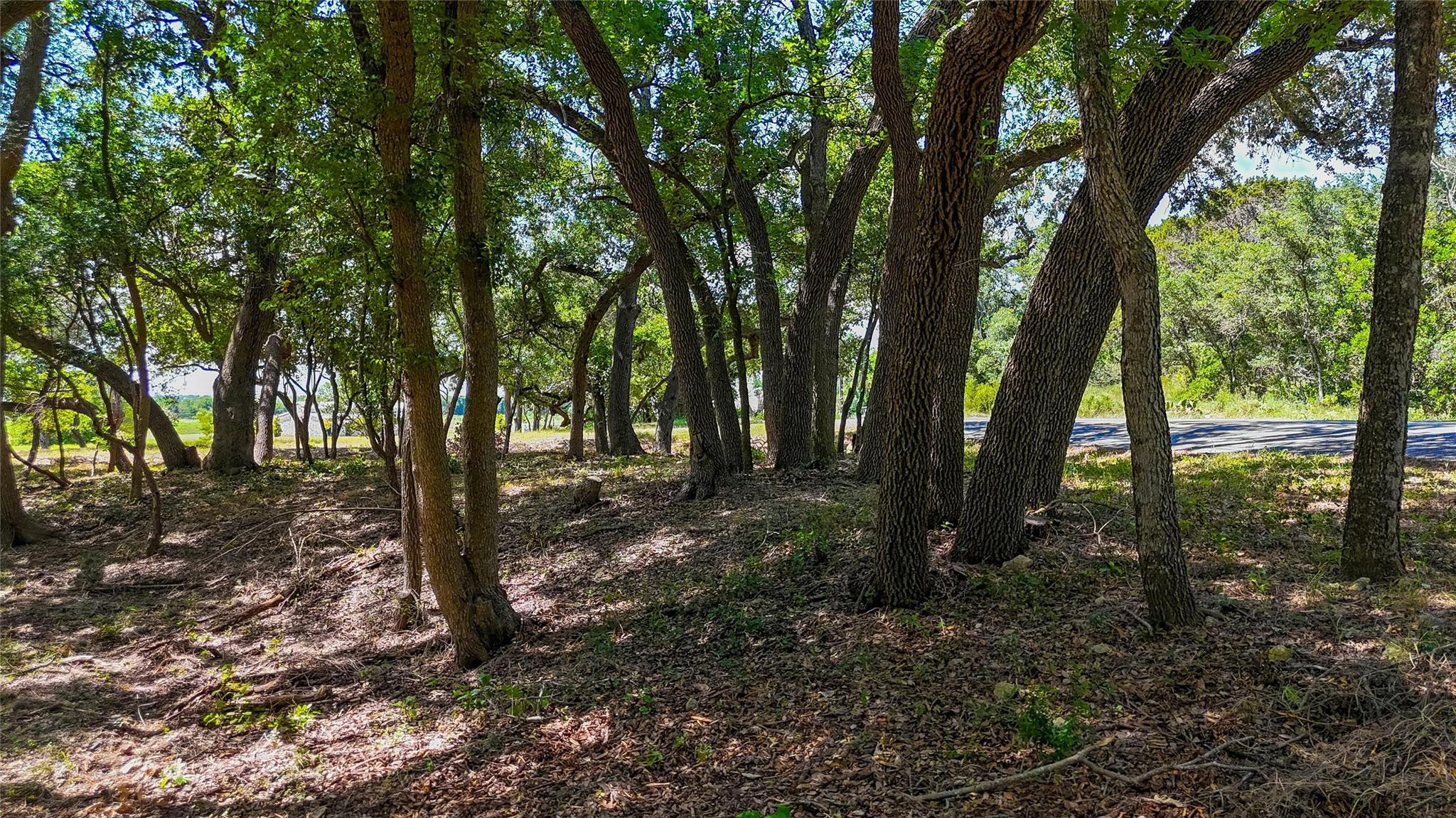 420 Blanco River Ranch Blvd, San Marcos, TX 78666
