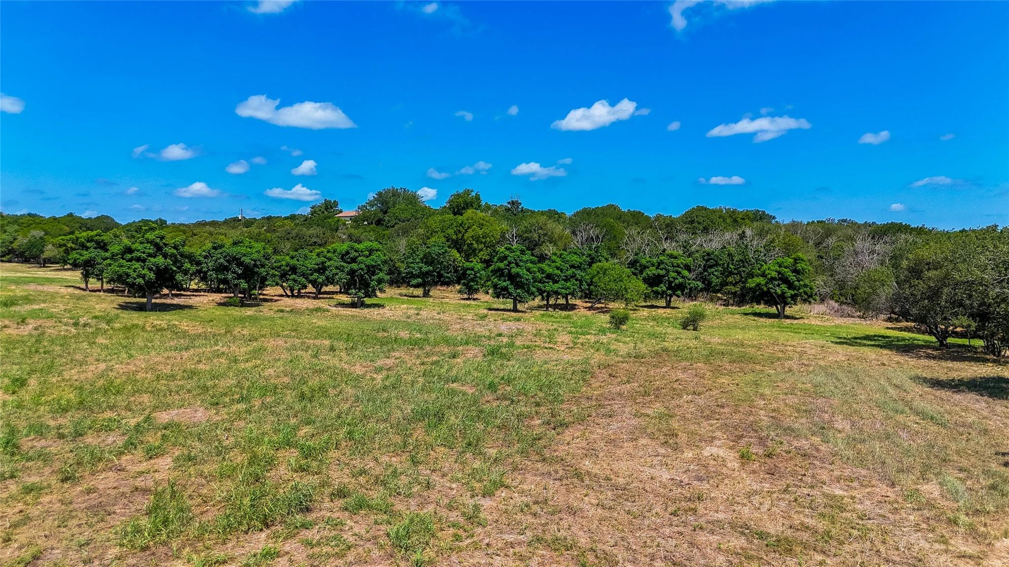 420 Blanco River Ranch Blvd, San Marcos, TX 78666