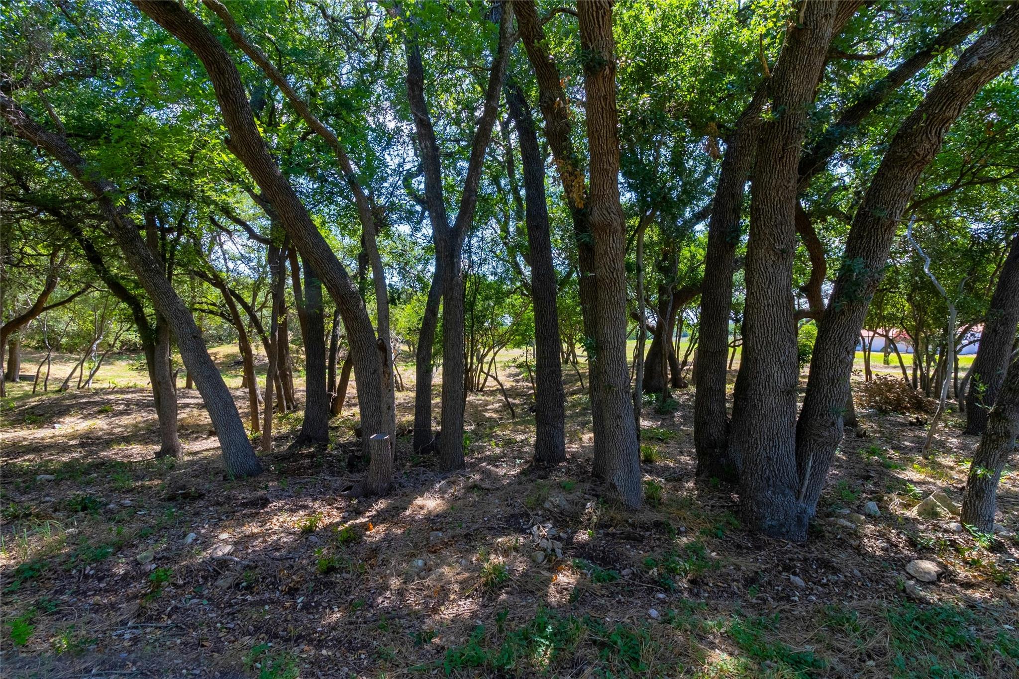 420 Blanco River Ranch Blvd, San Marcos, TX 78666