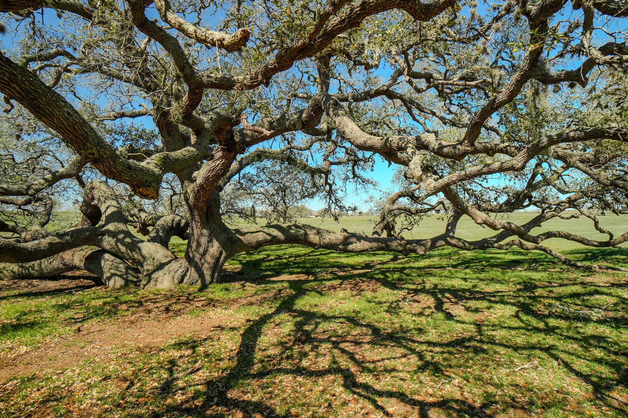 1797 County Road 261, Moulton, TX 77975