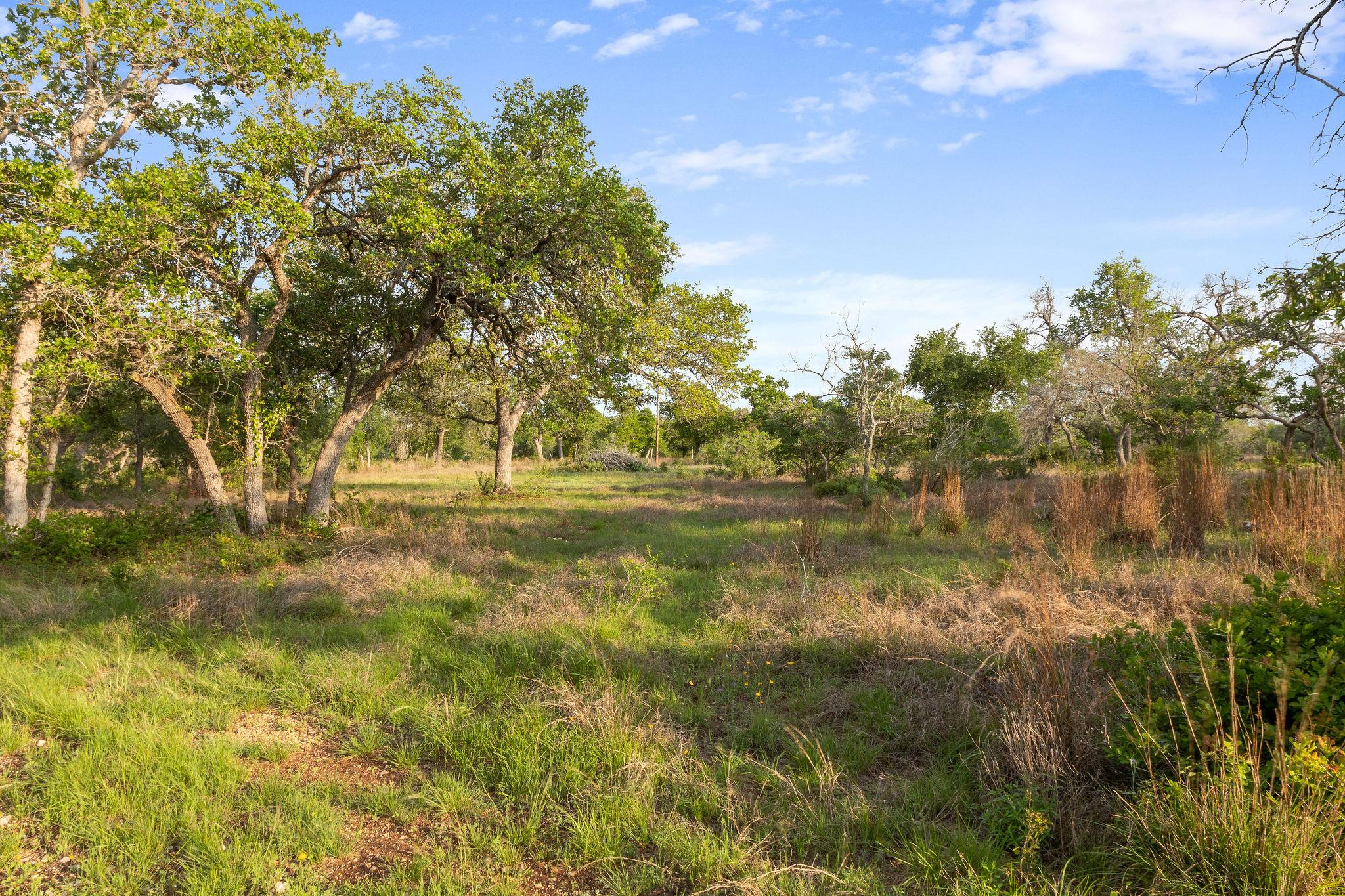 205 Mount Gainor Rd, Dripping Springs, TX 78620