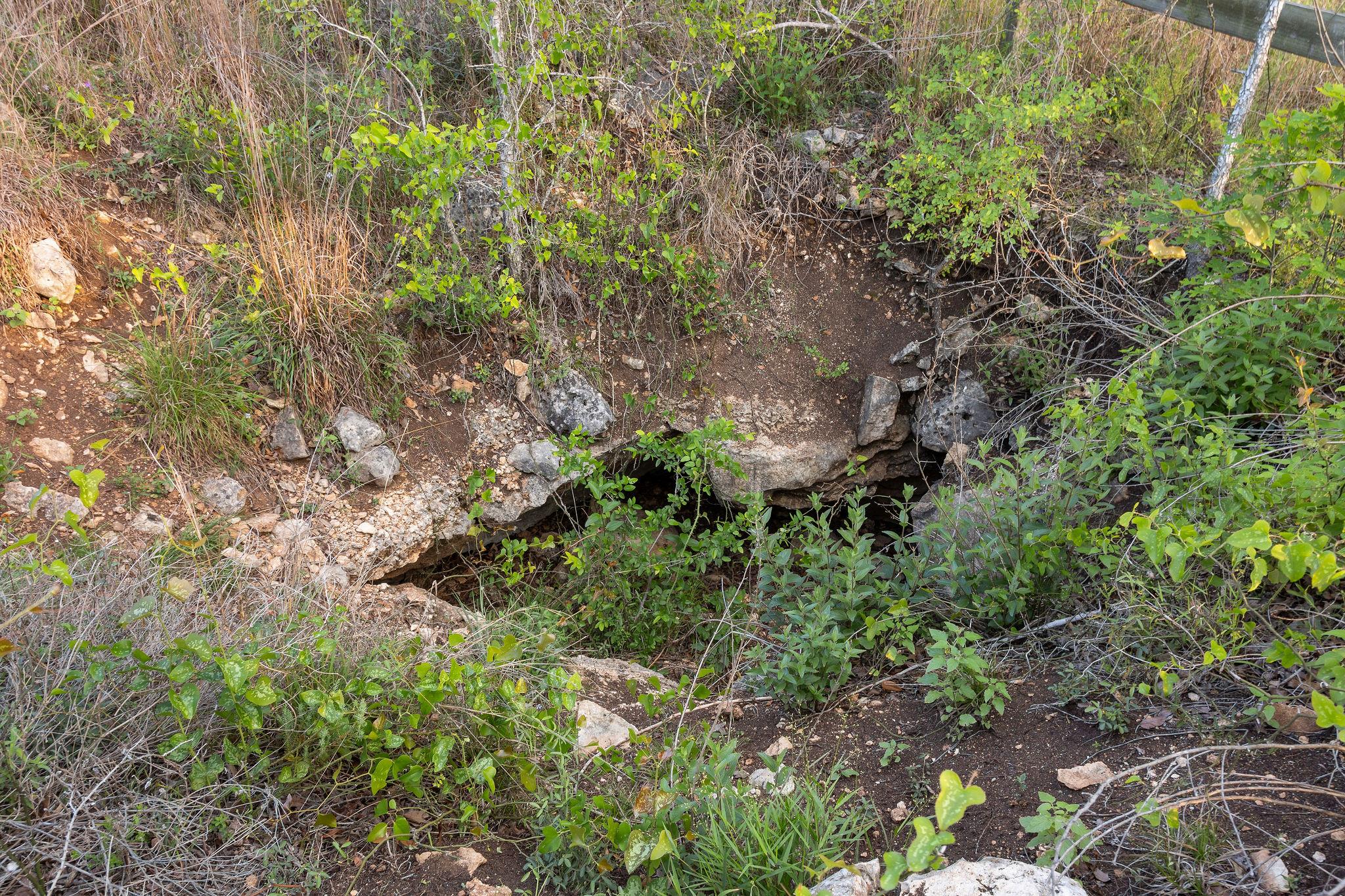 205 Mount Gainor Rd, Dripping Springs, TX 78620