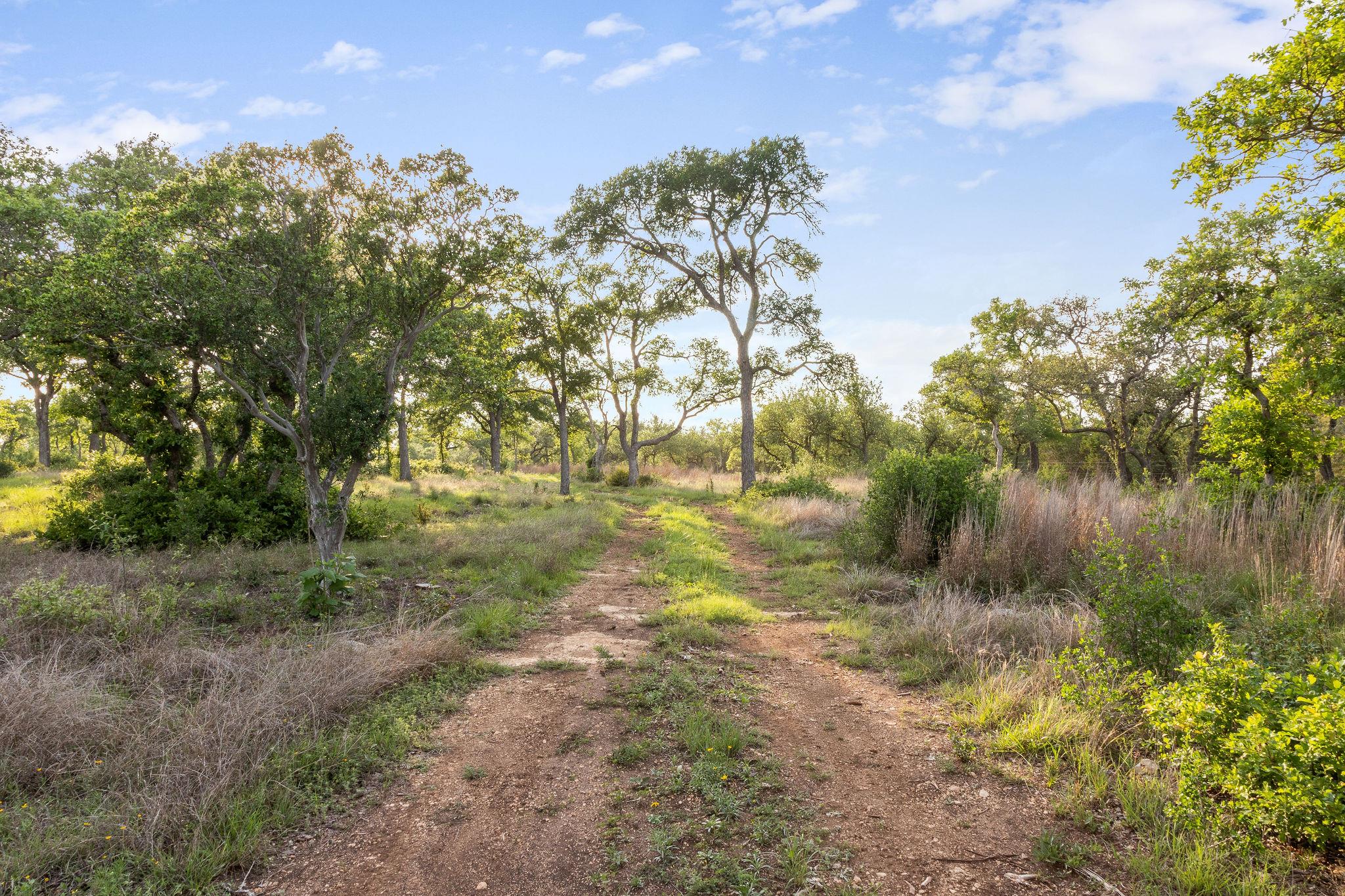 205 Mount Gainor Rd, Dripping Springs, TX 78620