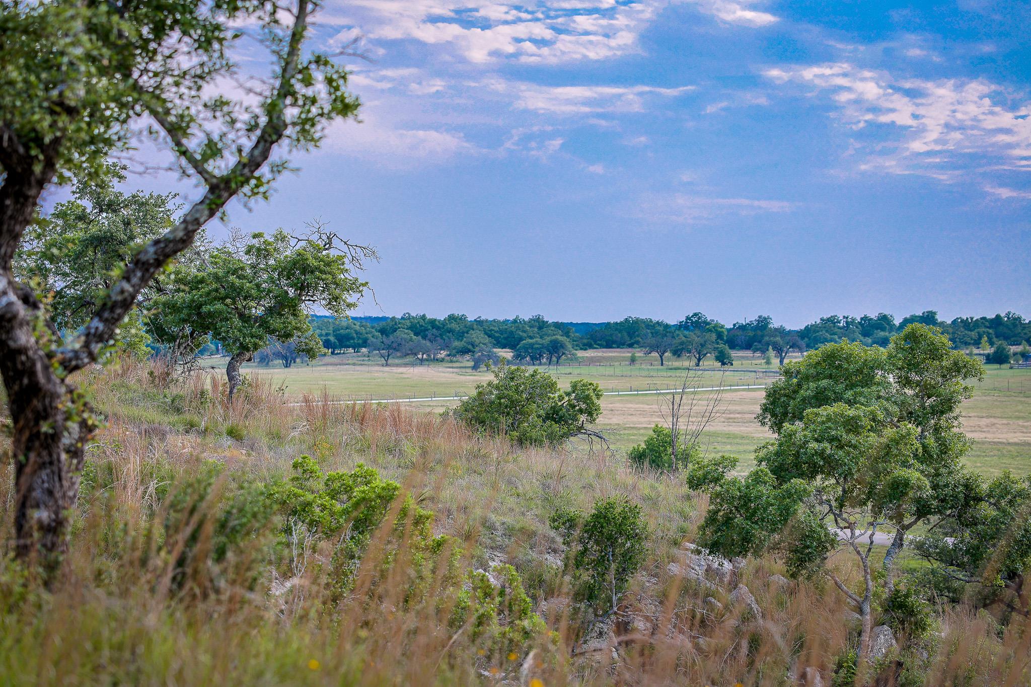 205 Mount Gainor Rd, Dripping Springs, TX 78620