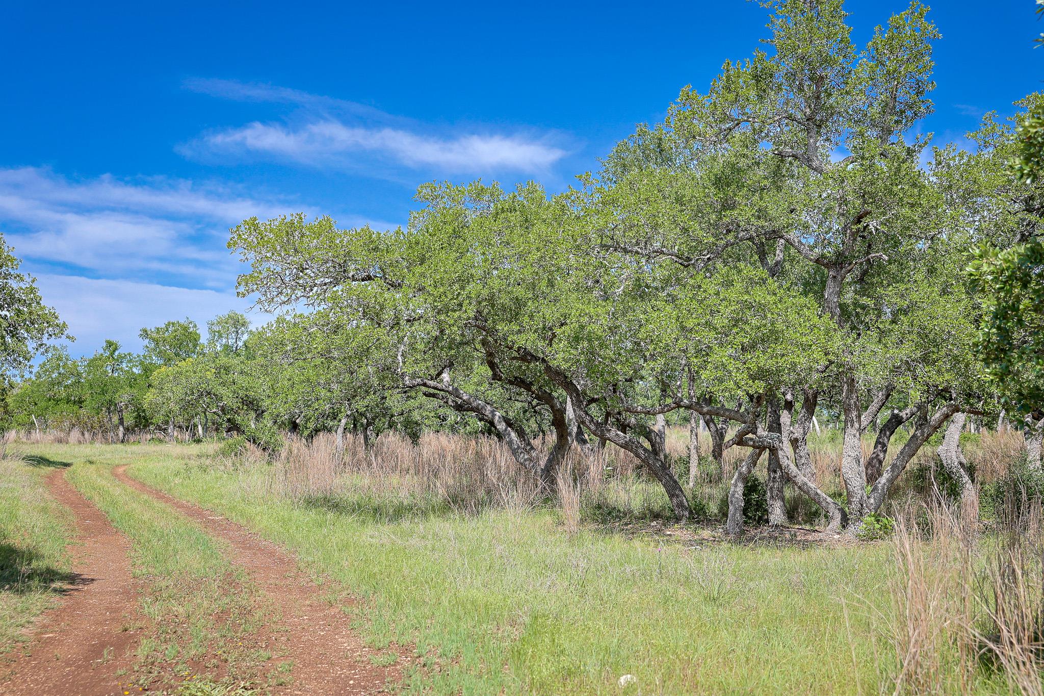 205 Mount Gainor Rd, Dripping Springs, TX 78620