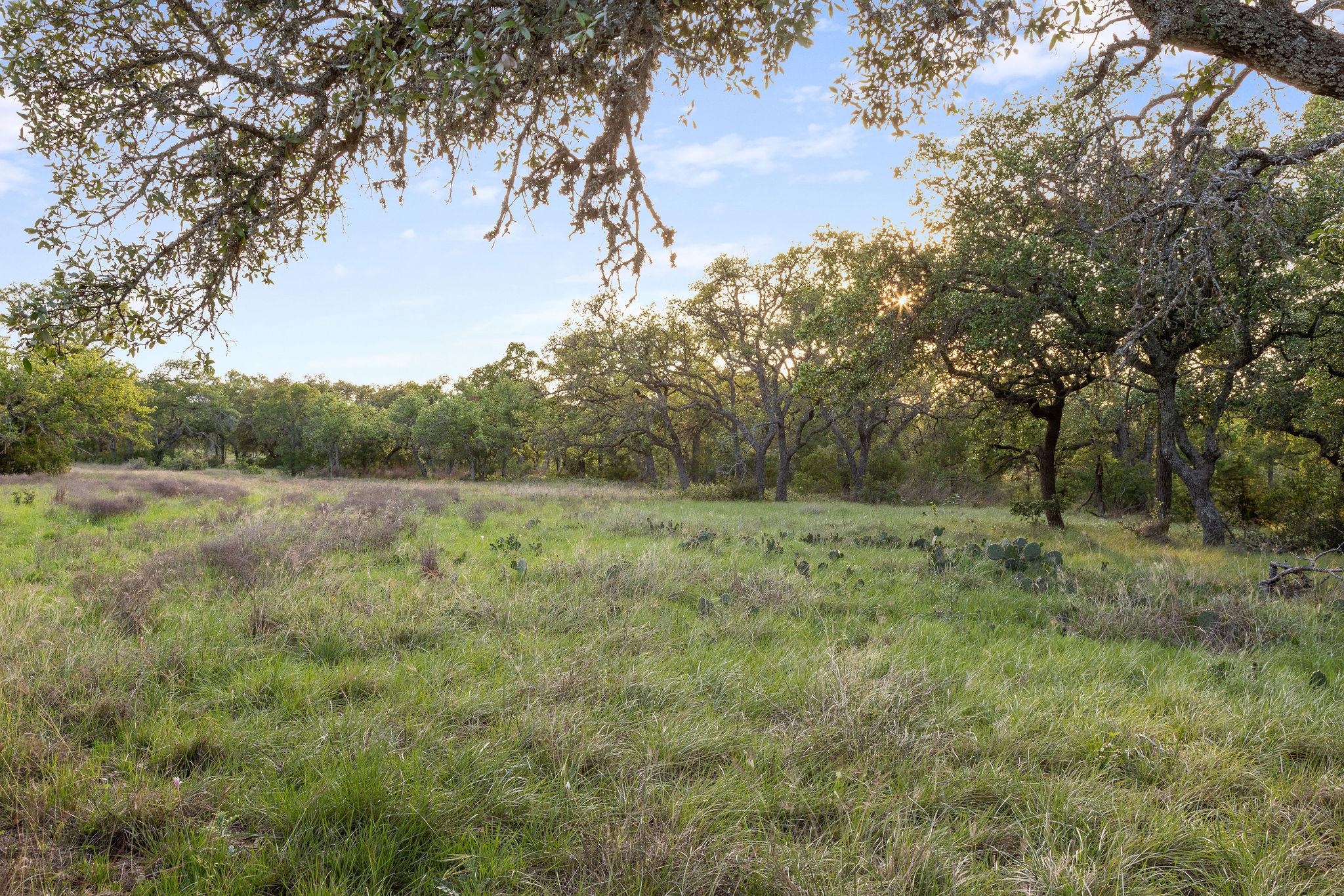 205 Mount Gainor Rd, Dripping Springs, TX 78620