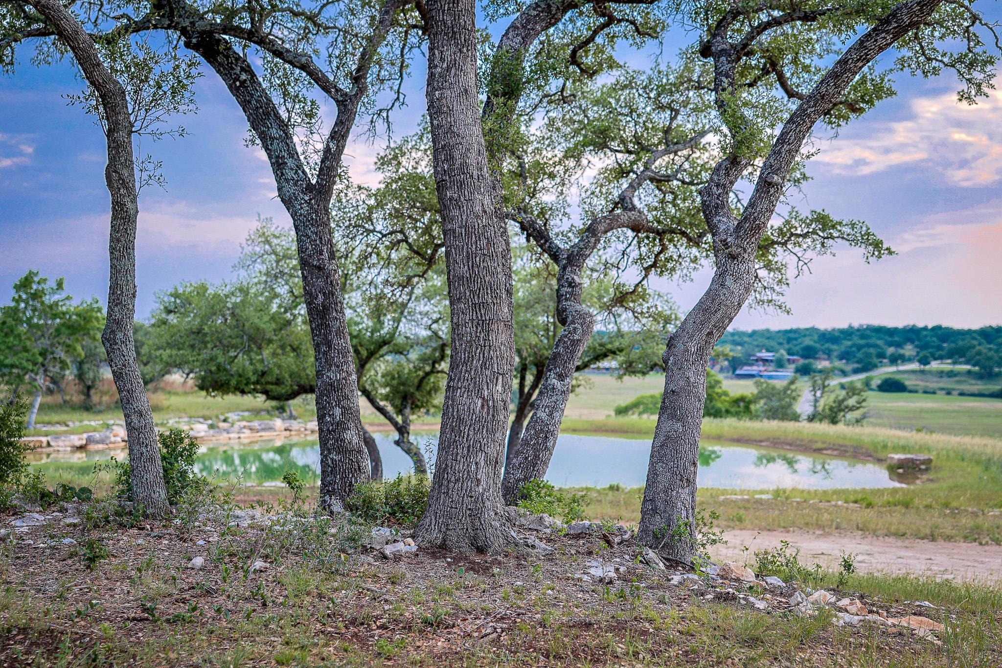 205 Mount Gainor Rd, Dripping Springs, TX 78620