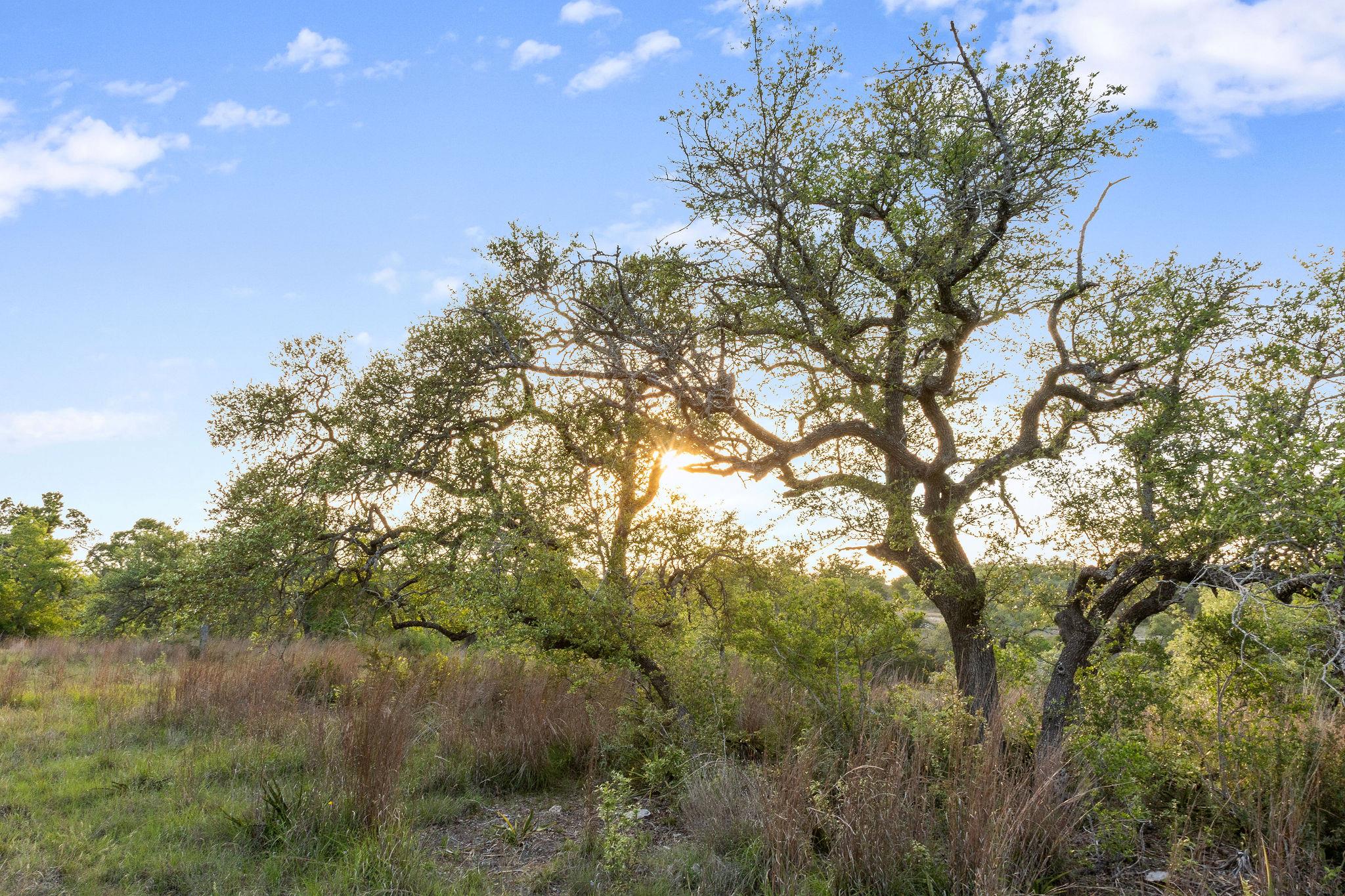 205 Mount Gainor Rd, Dripping Springs, TX 78620