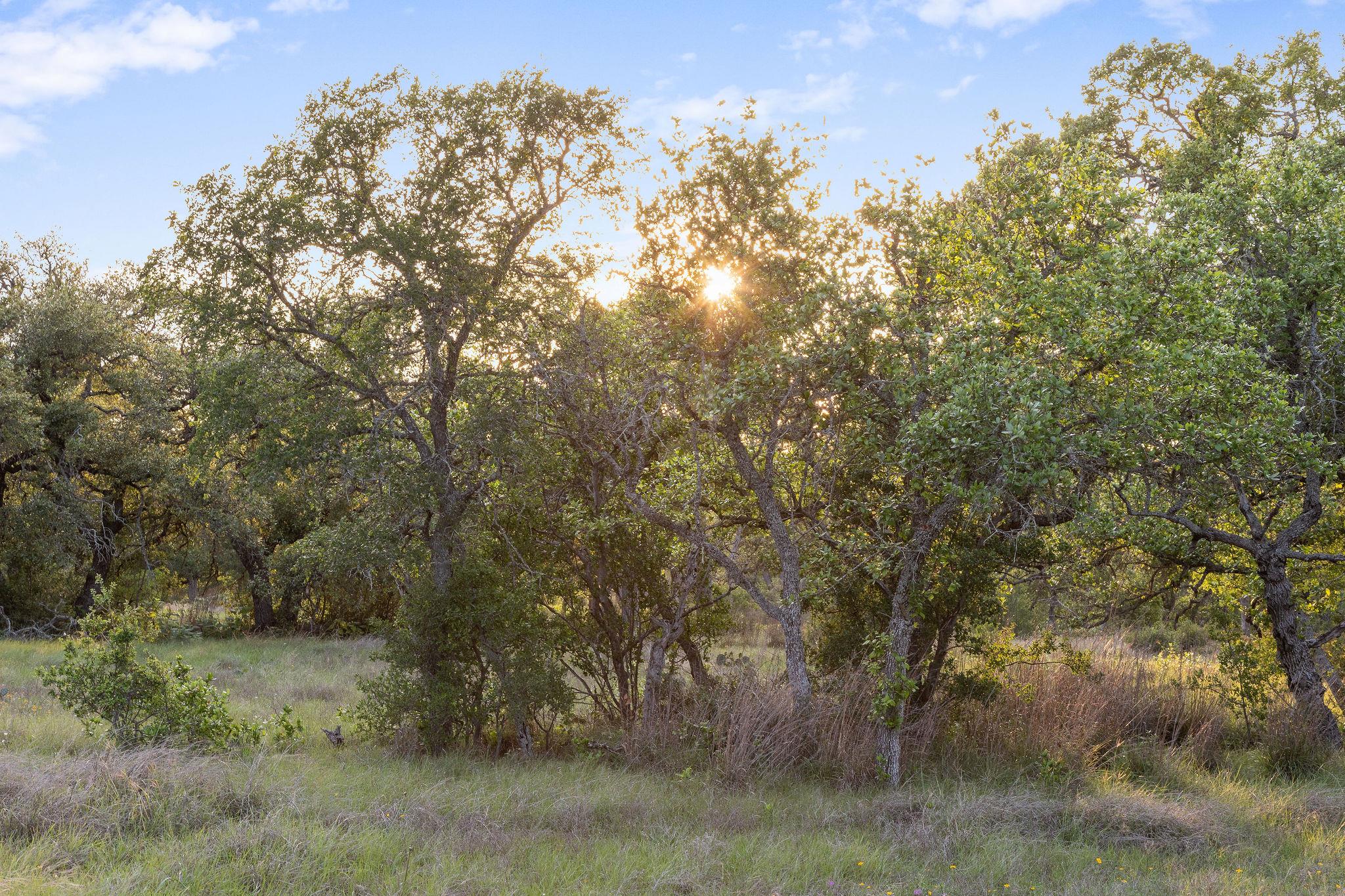 205 Mount Gainor Rd, Dripping Springs, TX 78620