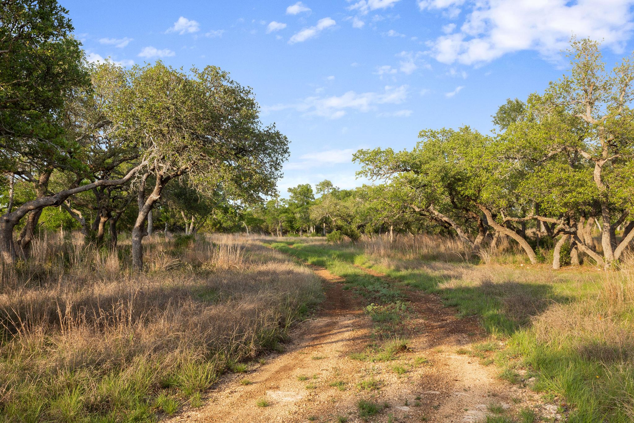 205 Mount Gainor Rd, Dripping Springs, TX 78620