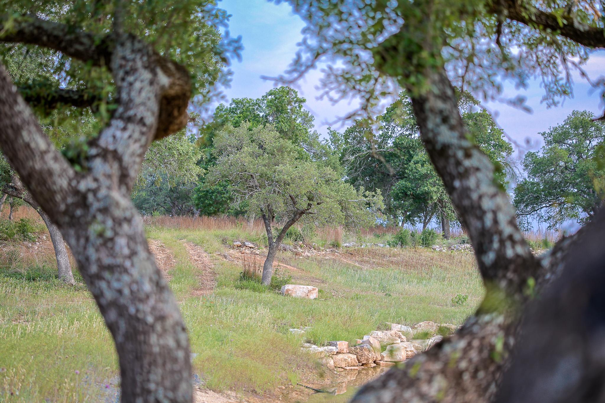 205 Mount Gainor Rd, Dripping Springs, TX 78620