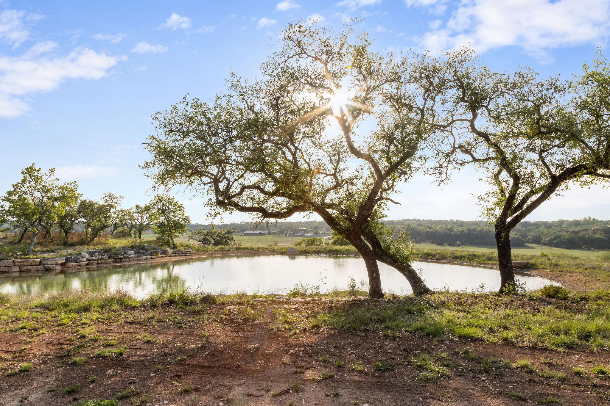 205 Mount Gainor Rd, Dripping Springs, TX 78620