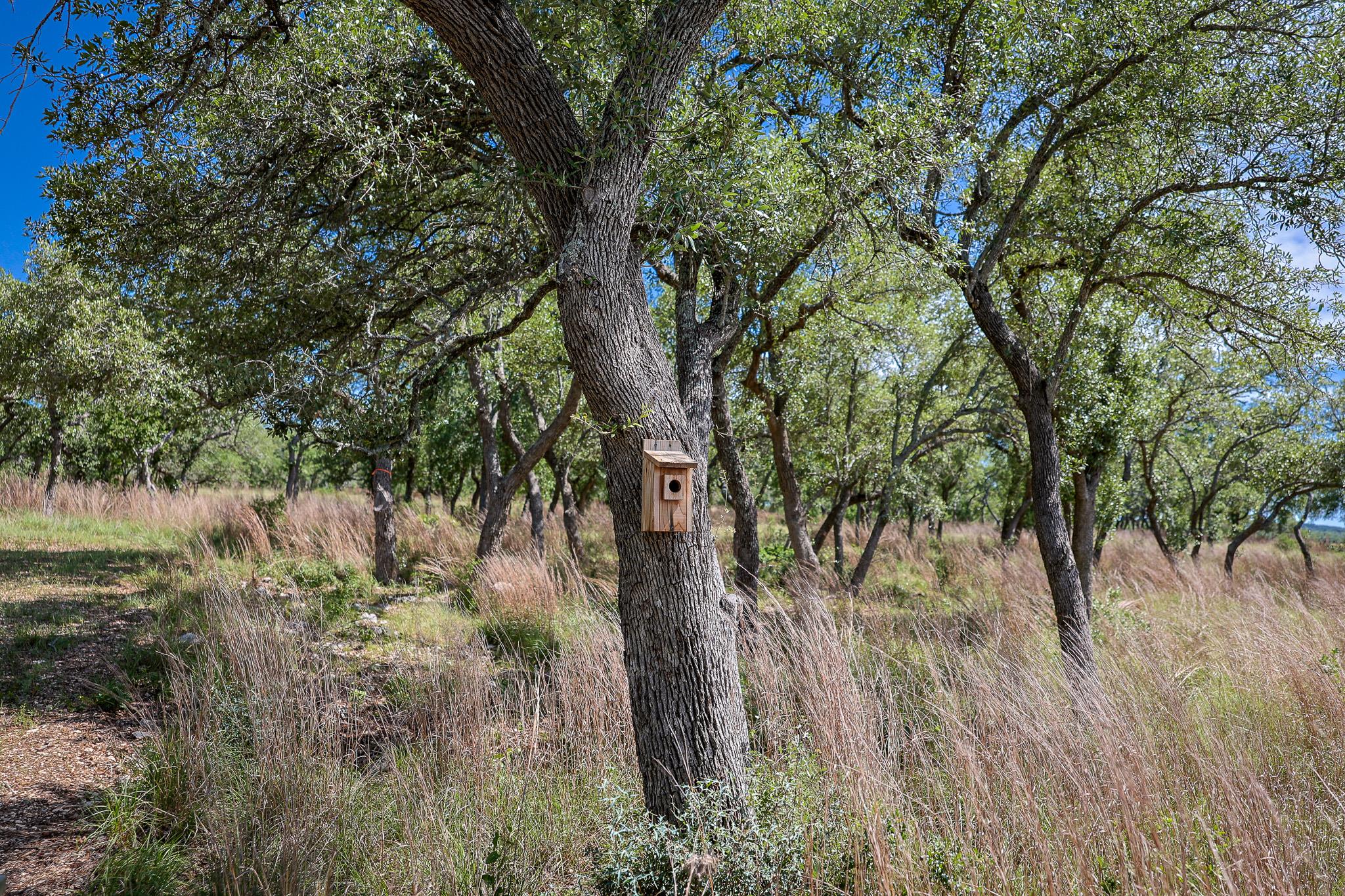 205 Mount Gainor Rd, Dripping Springs, TX 78620