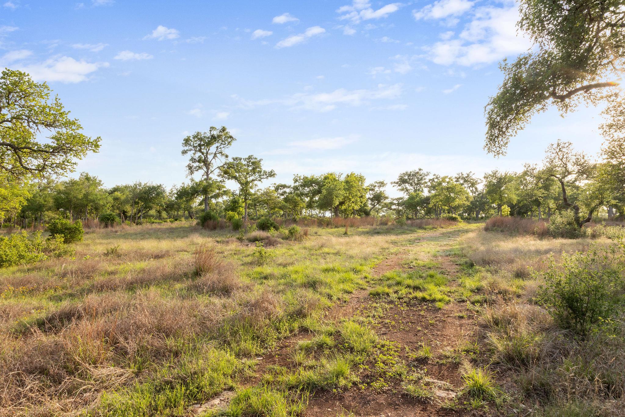 205 Mount Gainor Rd, Dripping Springs, TX 78620