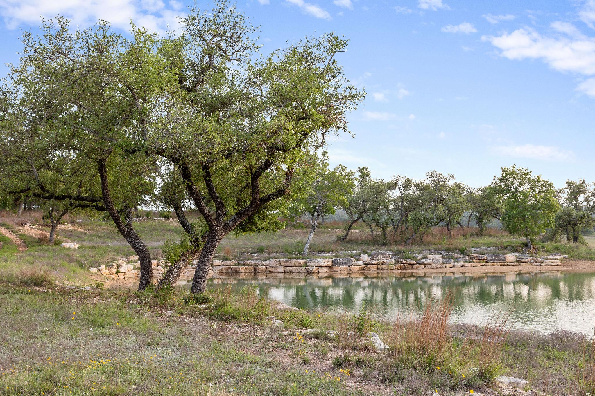 205 Mount Gainor Rd, Dripping Springs, TX 78620