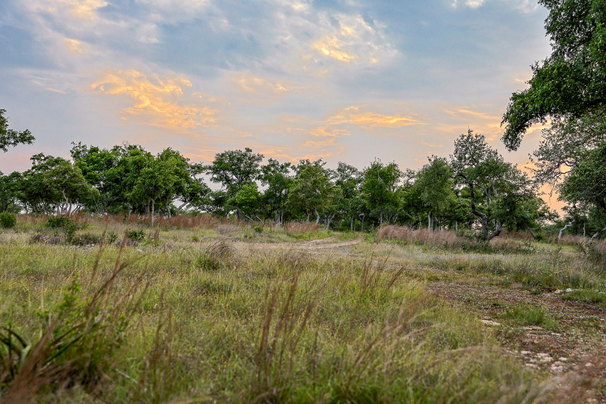 205 Mount Gainor Rd, Dripping Springs, TX 78620