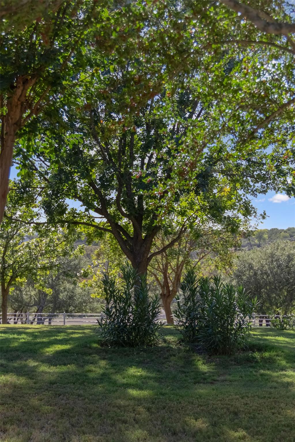 521 Bluff Creek Road Rd, Center Point, TX 78010