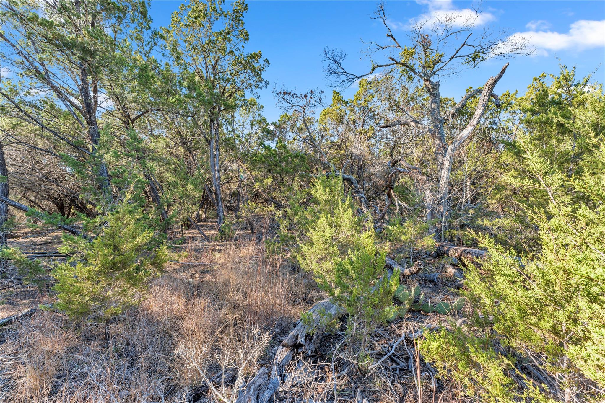 8614 Bar K Ranch Rd, Lago Vista, TX 78645