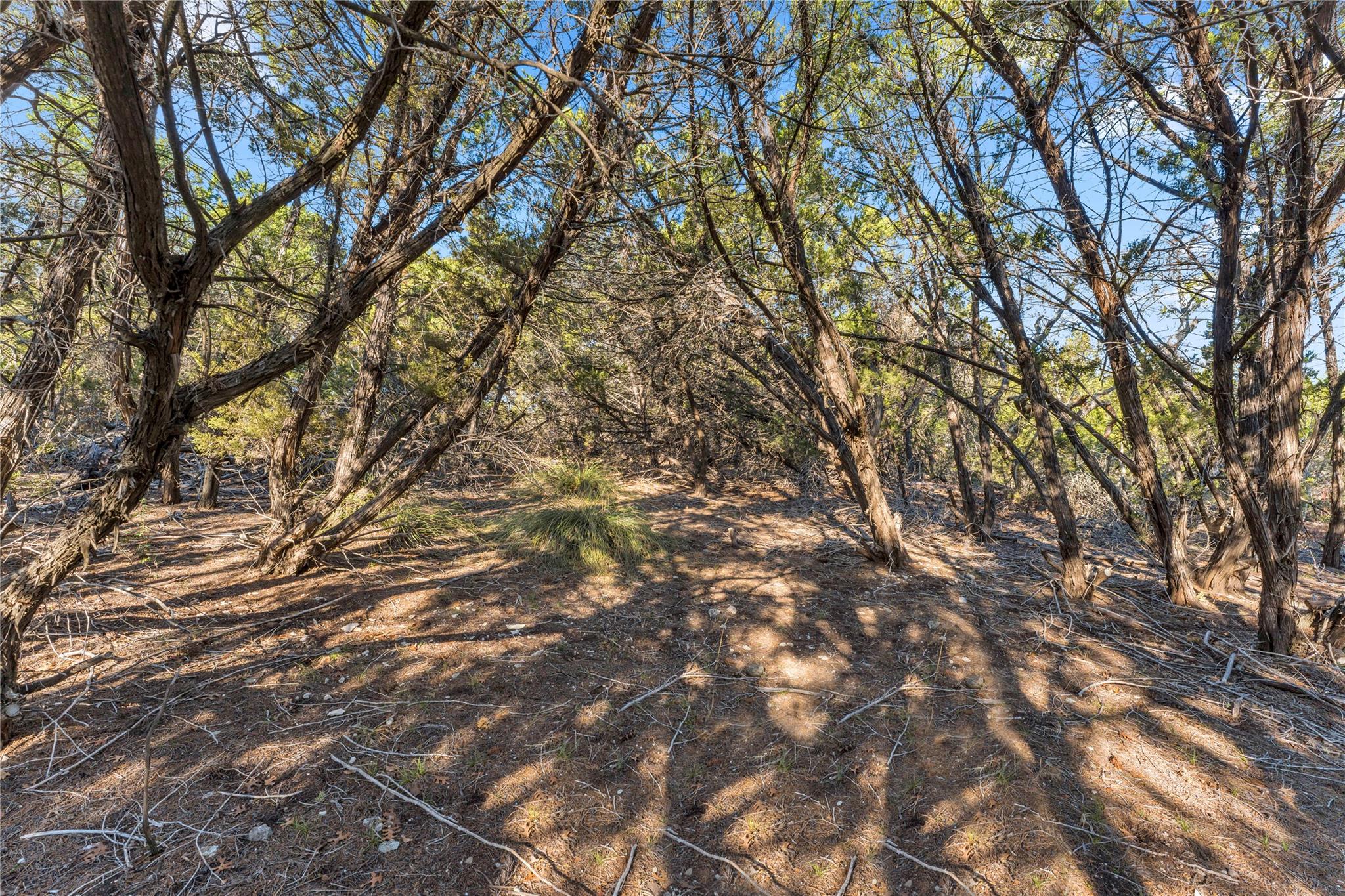 8614 Bar K Ranch Rd, Lago Vista, TX 78645