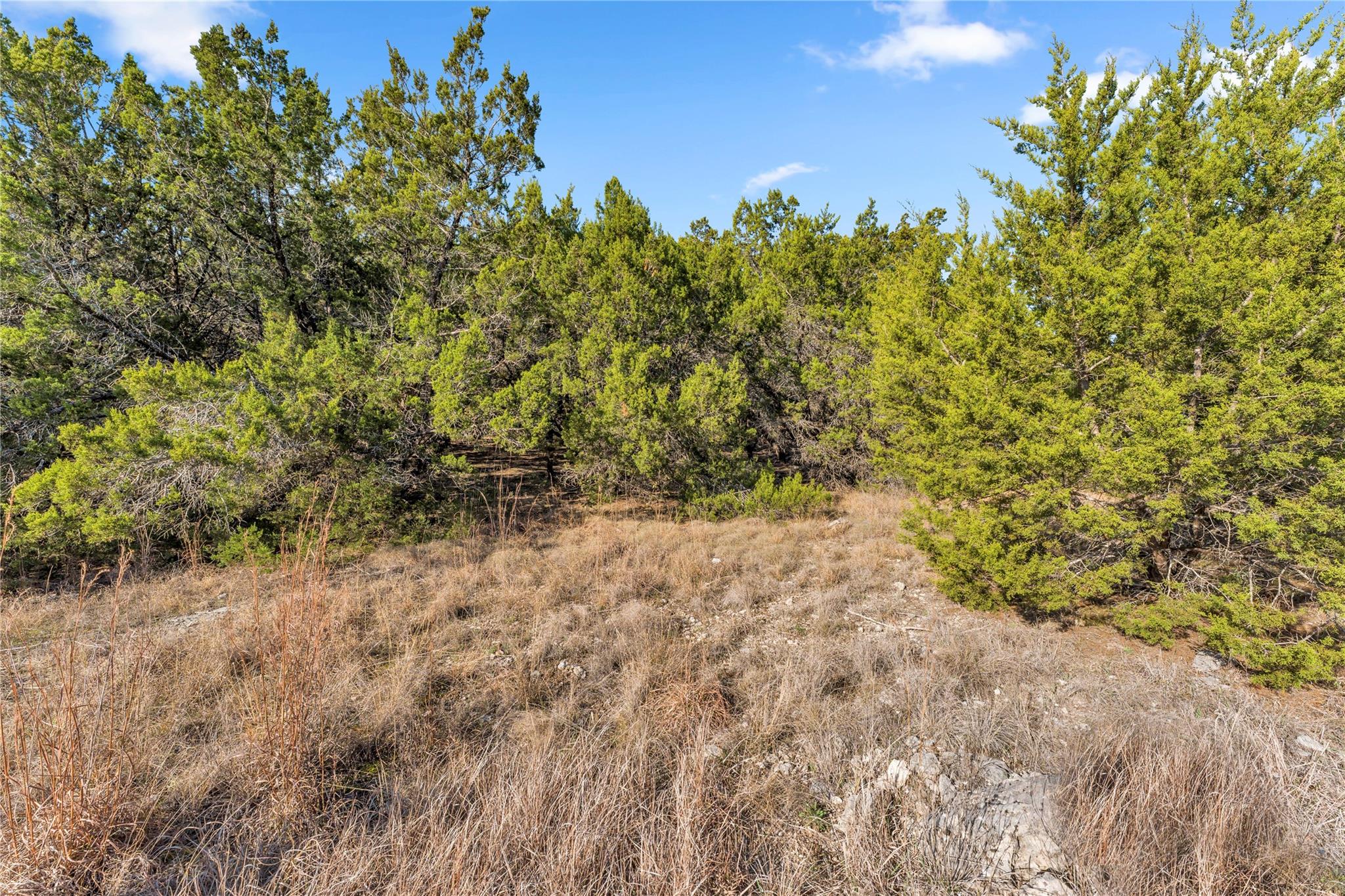 8614 Bar K Ranch Rd, Lago Vista, TX 78645