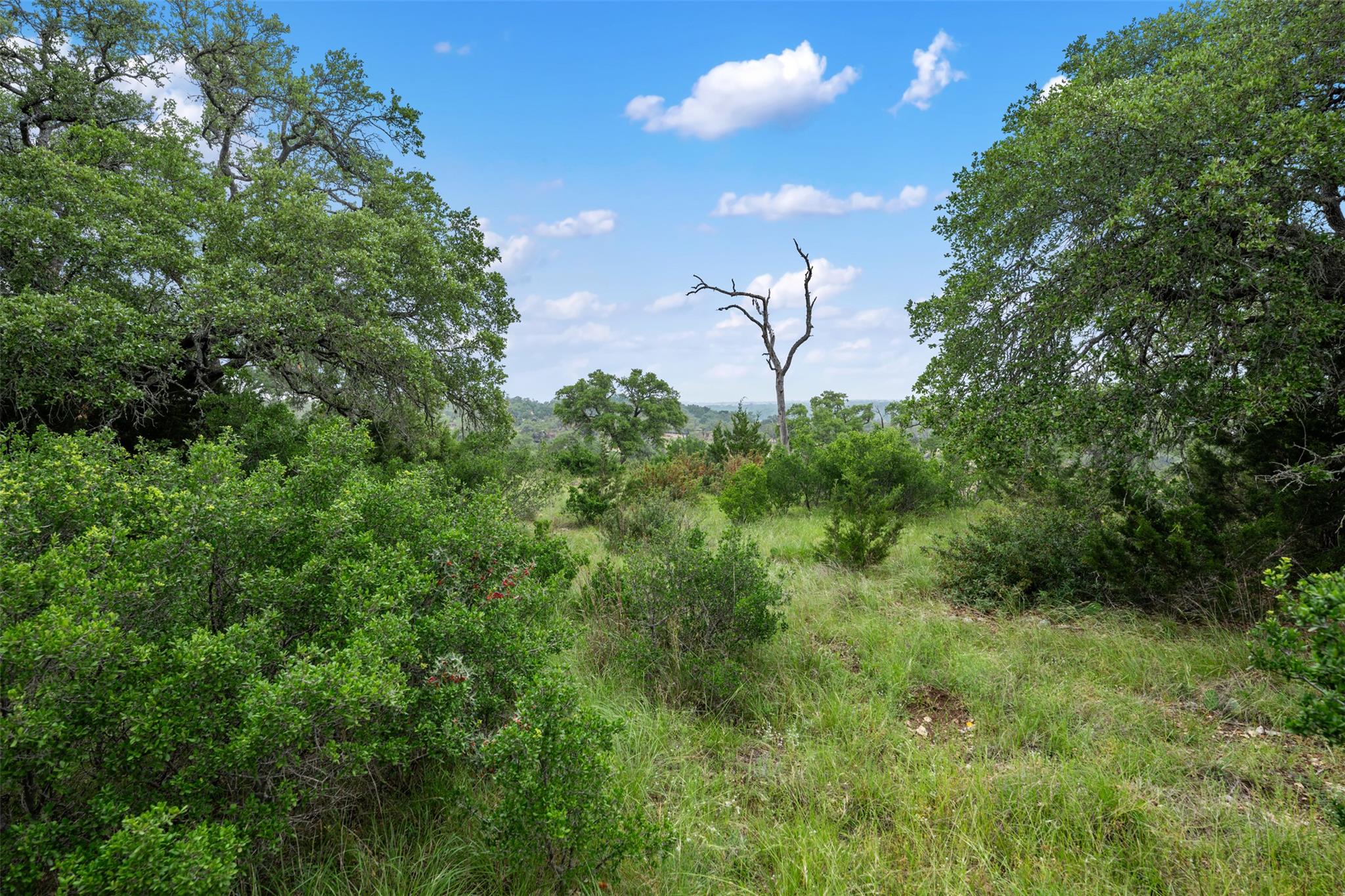 155 SW Crosswater Ln, Dripping Springs, TX 78620