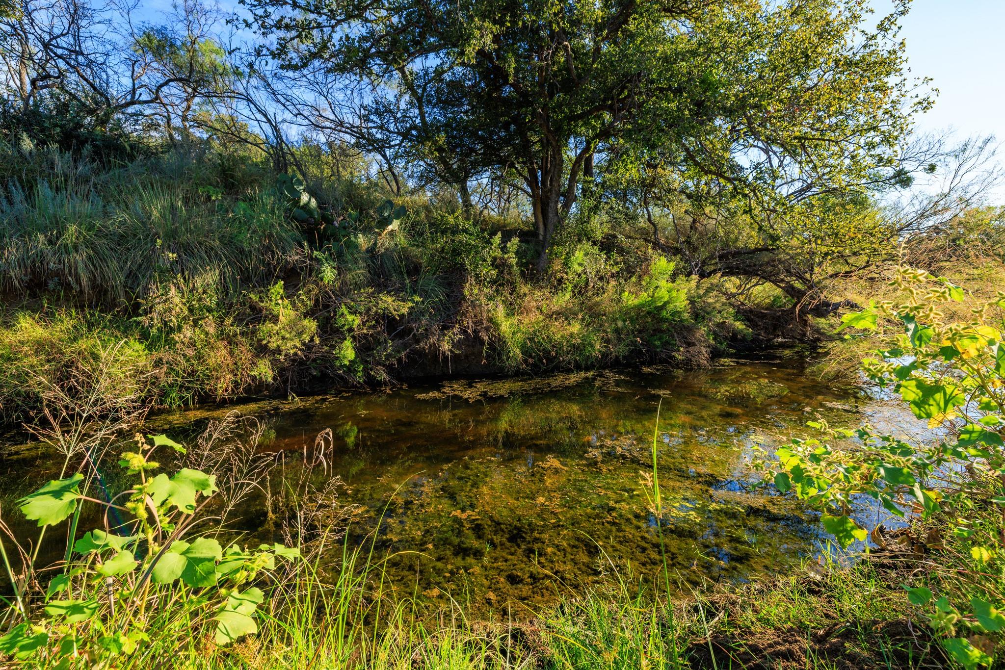 5862 Ranch Road 965, Llano, TX 78643