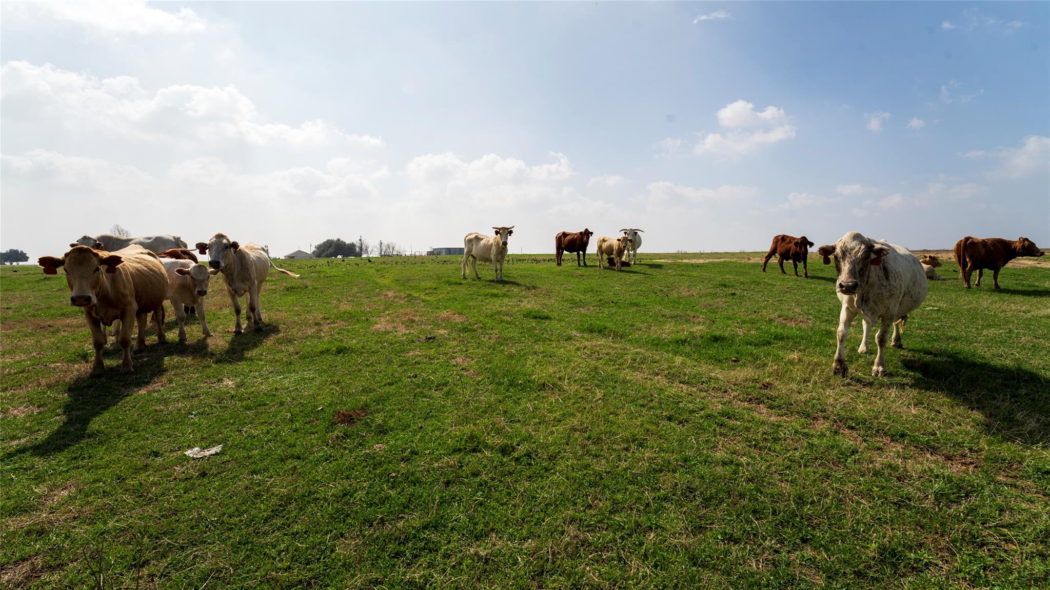 659 County Road 463, Thorndale, TX 76577