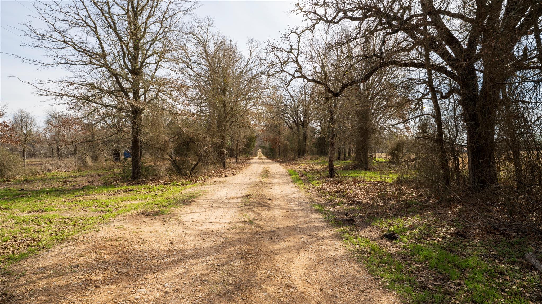 1141-A E 3rd St, Rockdale, TX 76567