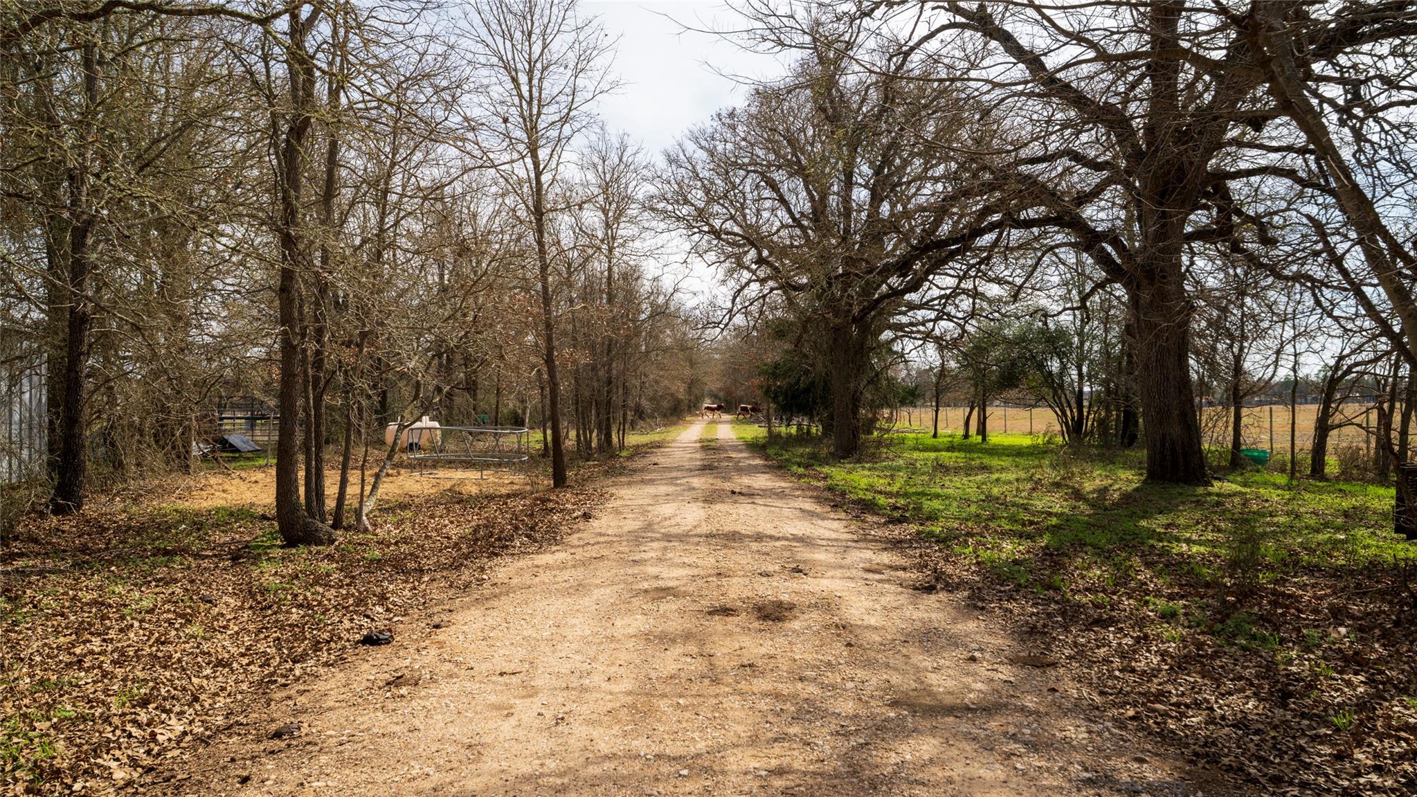 1141-A E 3rd St, Rockdale, TX 76567