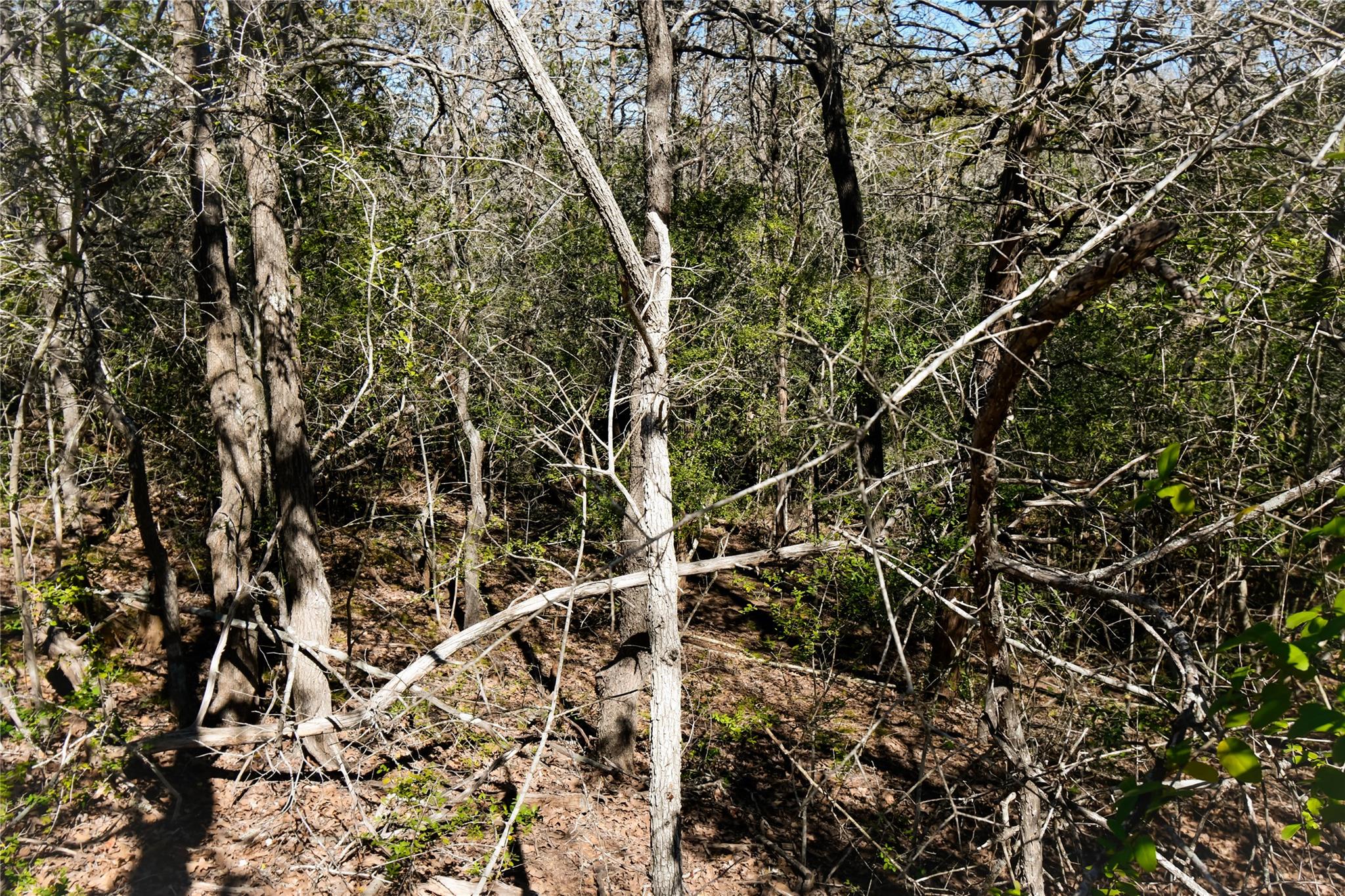 242 Iva Ln, Bastrop, TX 78602