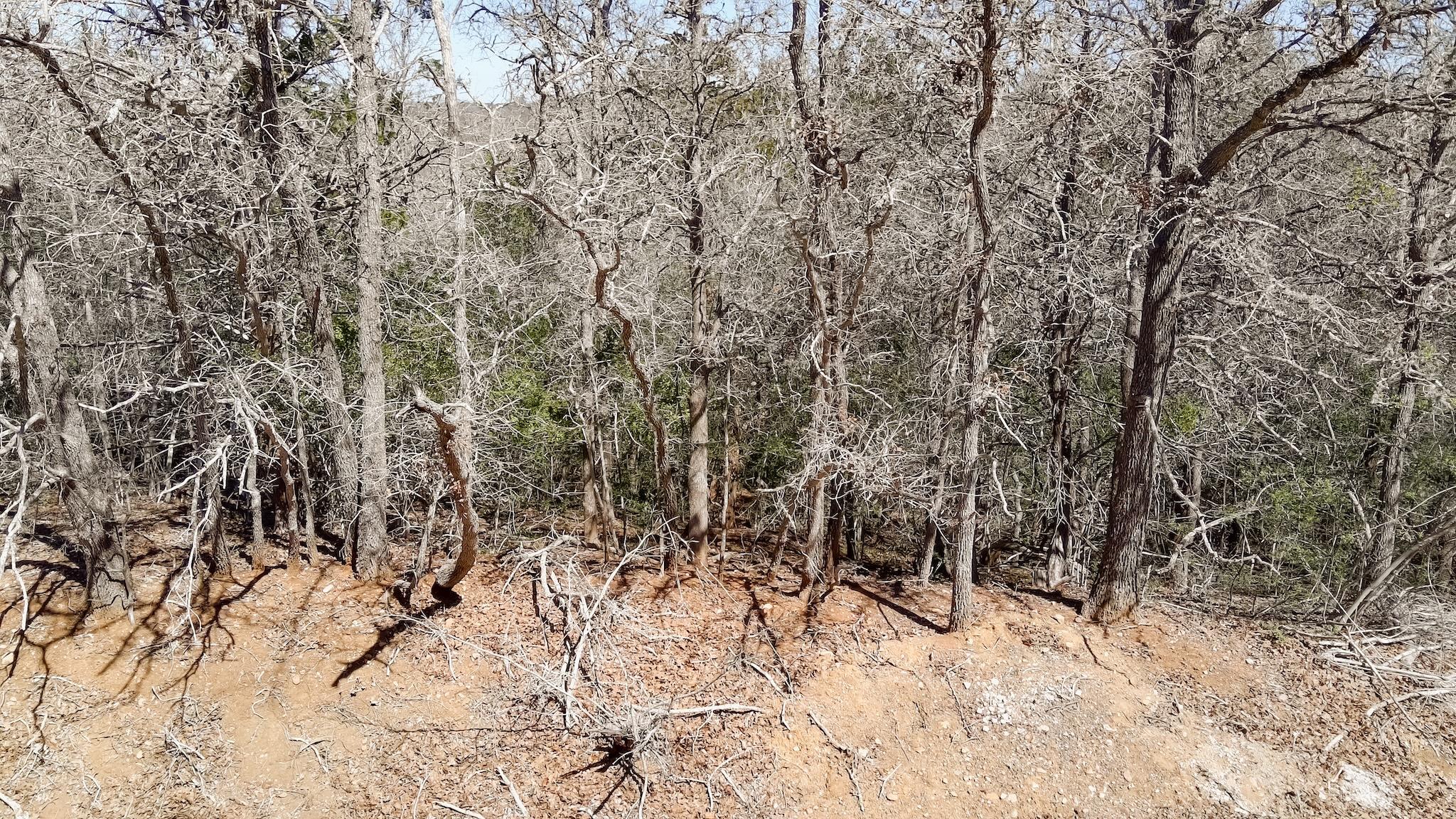 242 Iva Ln, Bastrop, TX 78602