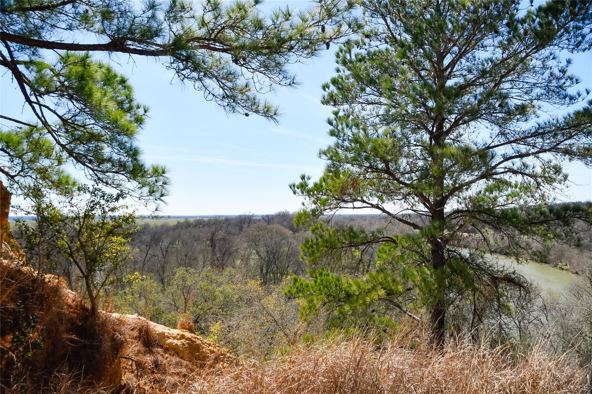 236 Iva Ln, Bastrop, TX 78602