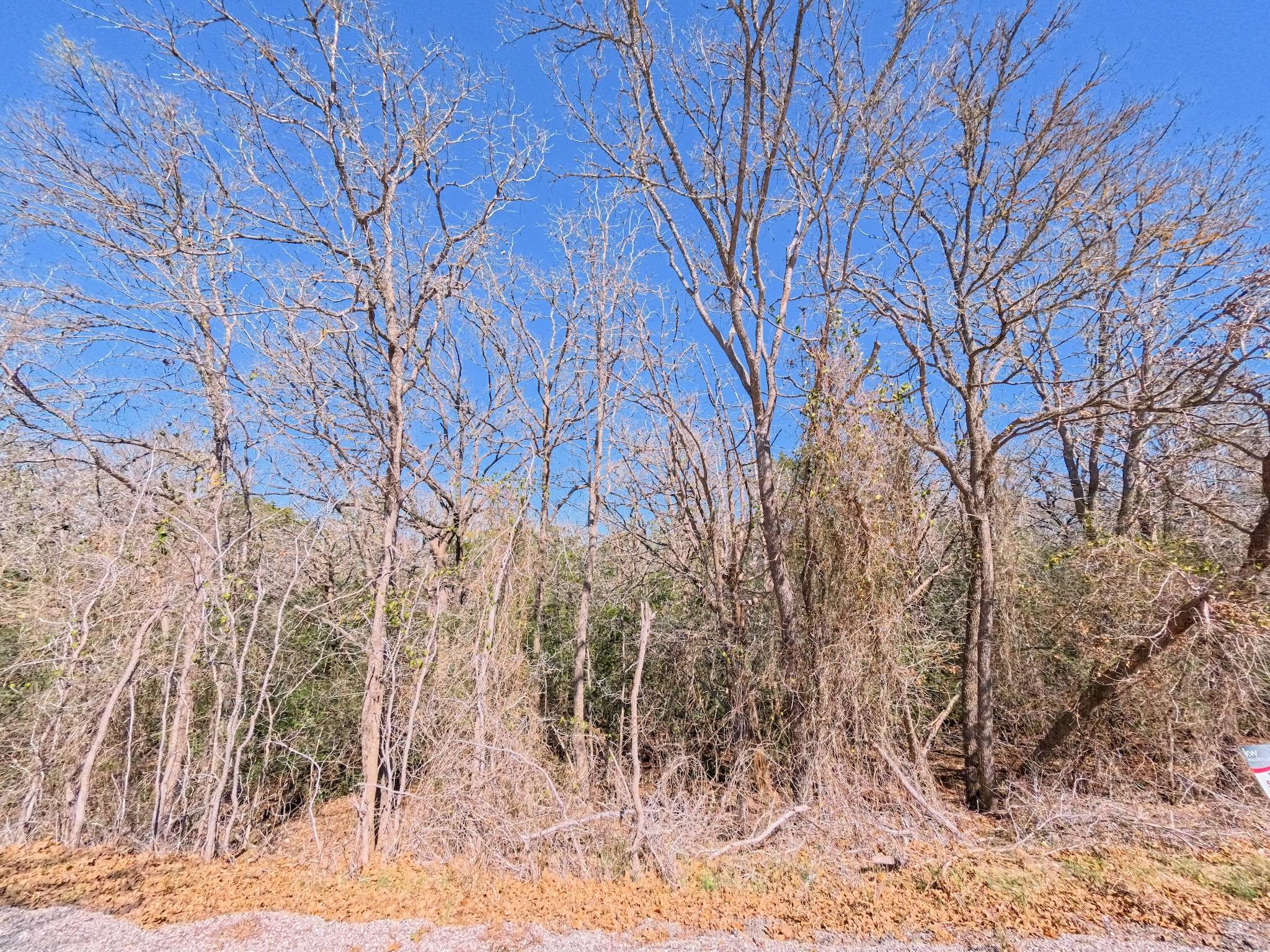 236 Iva Ln, Bastrop, TX 78602