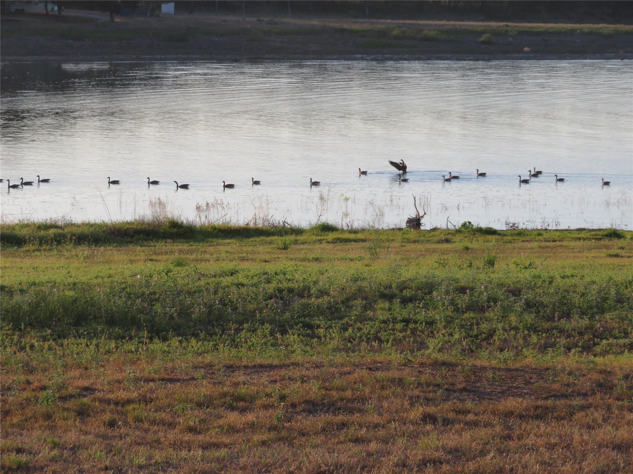 409 County Road 138 Rd, Burnet, TX 78611