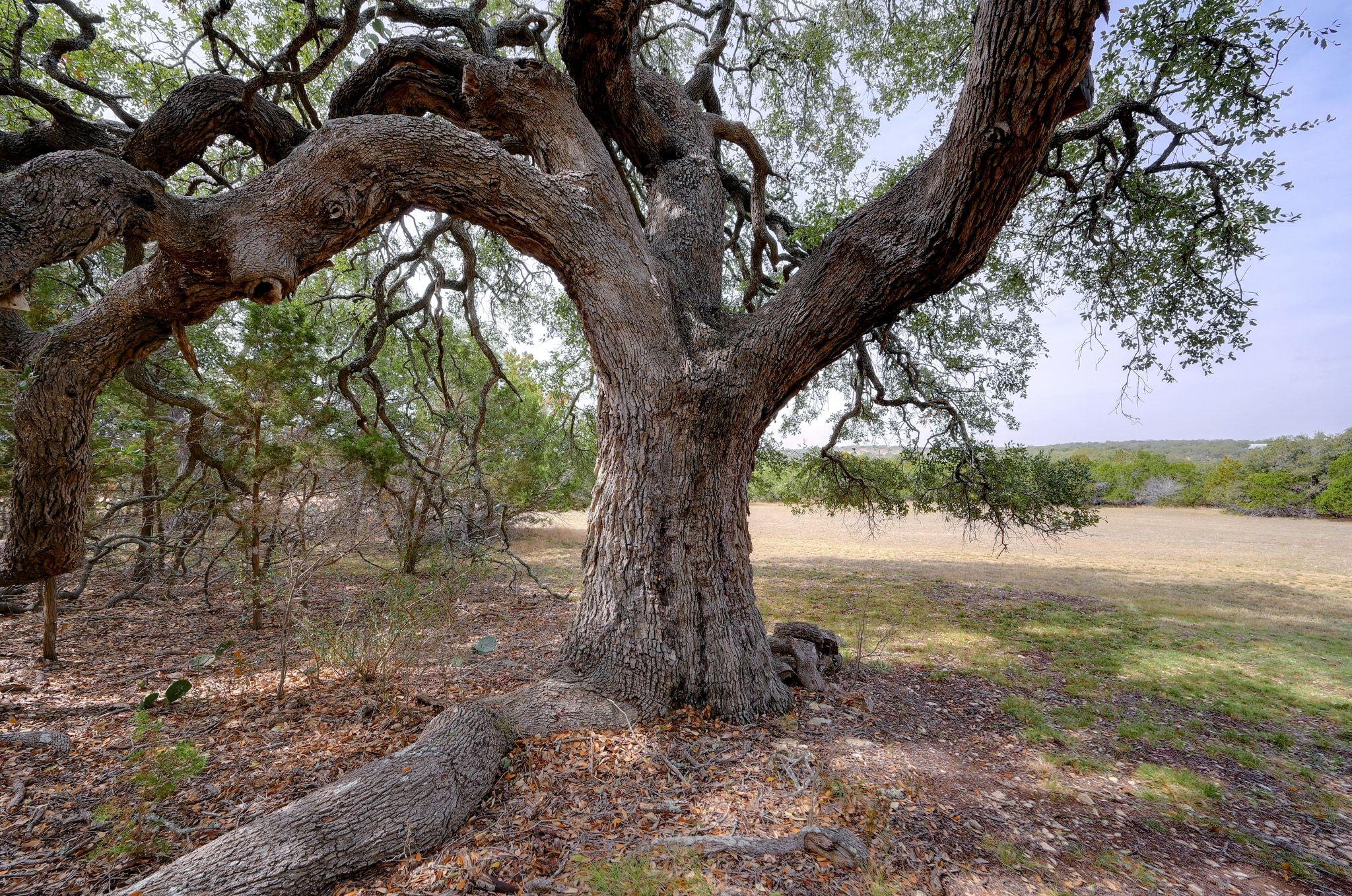 6573 Ranch Road 165, Blanco, TX 78606